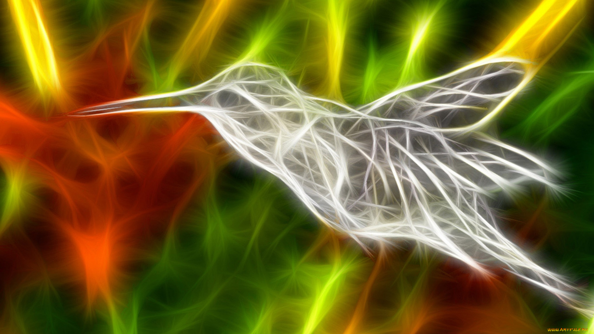 3д, графика, животные, , animals, птица, яркость, колибри