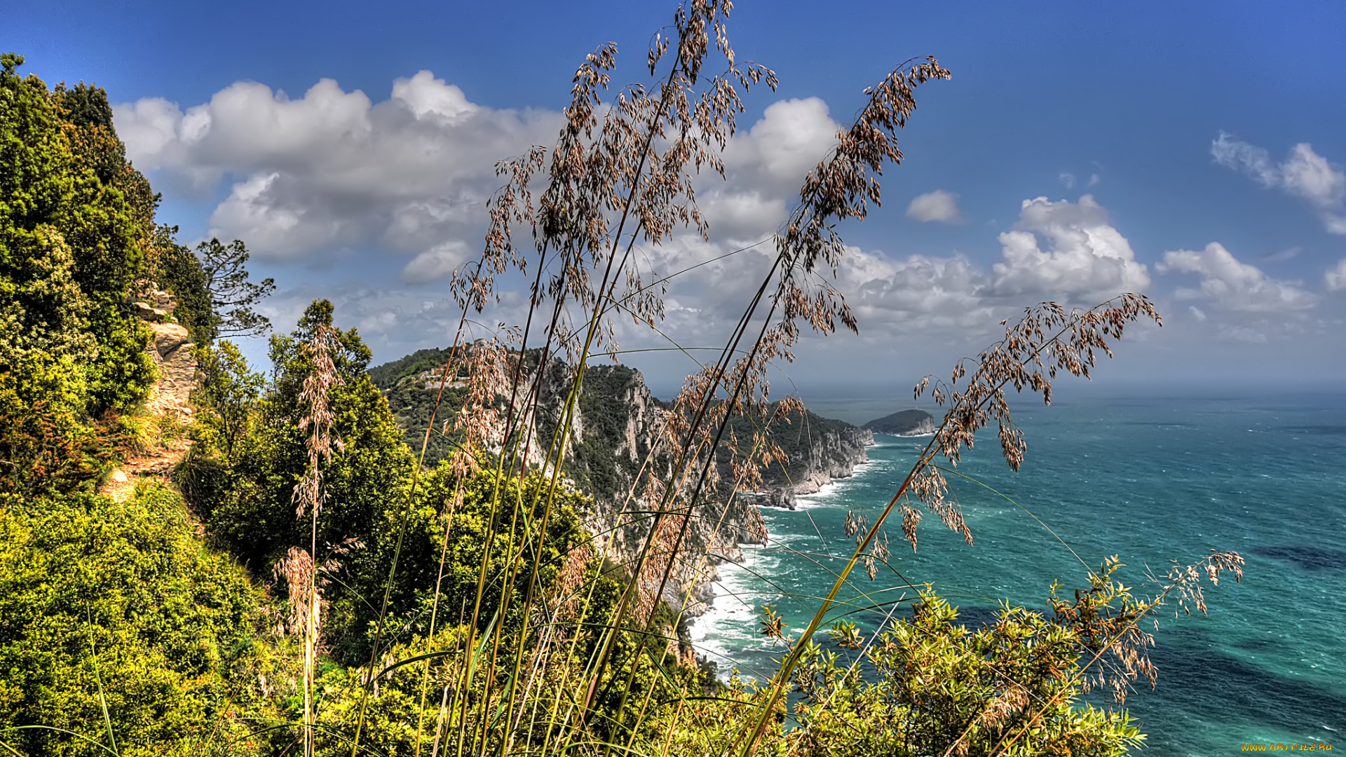 природа, побережье, растительность, мыс, океан