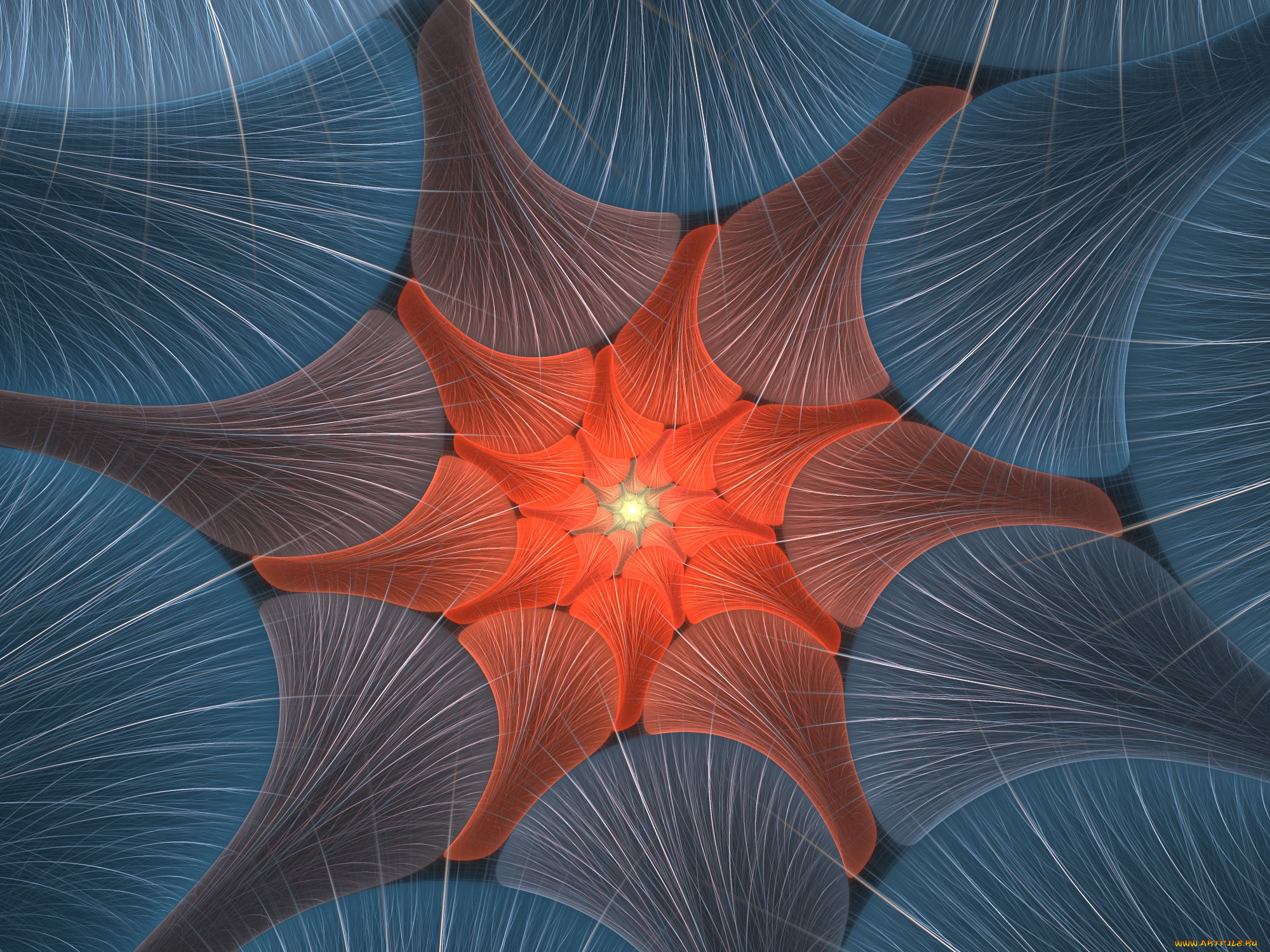 3д, графика, фракталы, , fractal, цвета, фон, узор