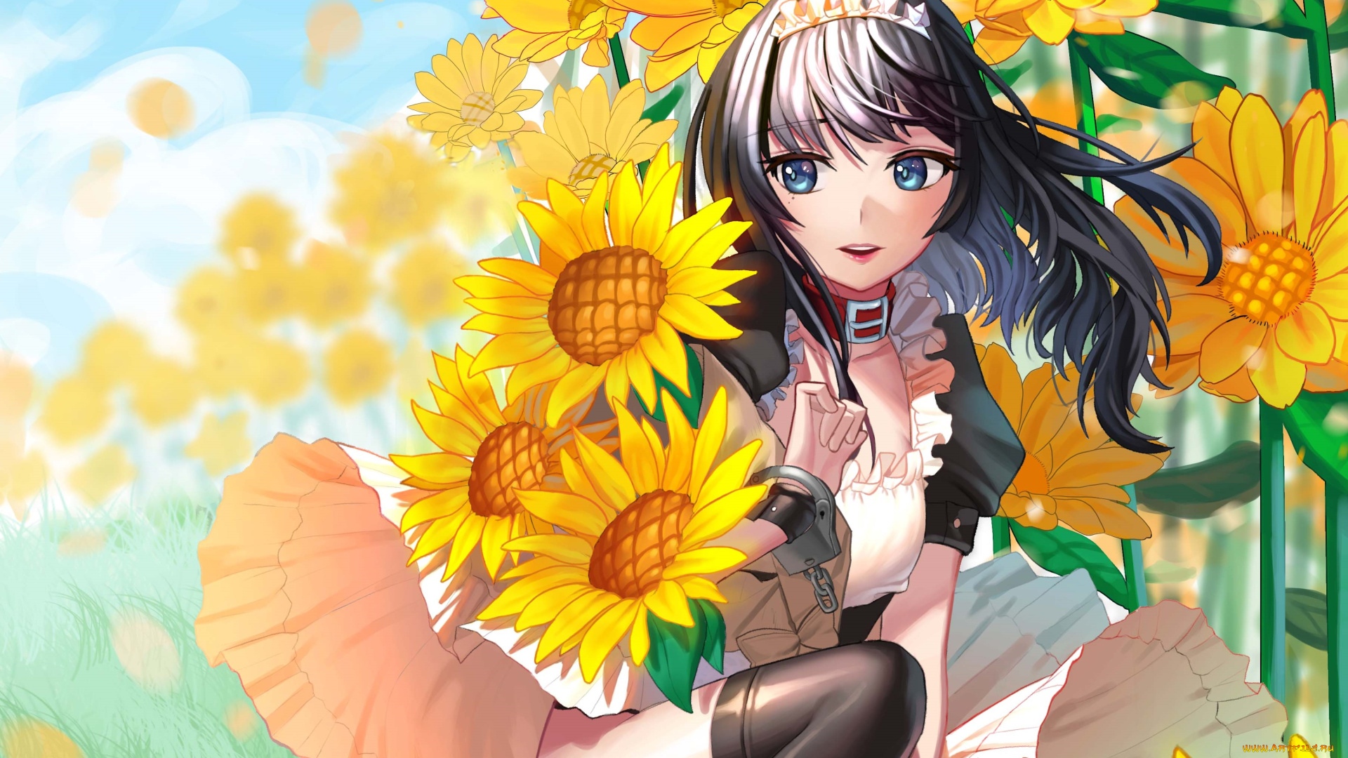 аниме, unknown, , другое, doyoom, арт, девушка, подсолнухи