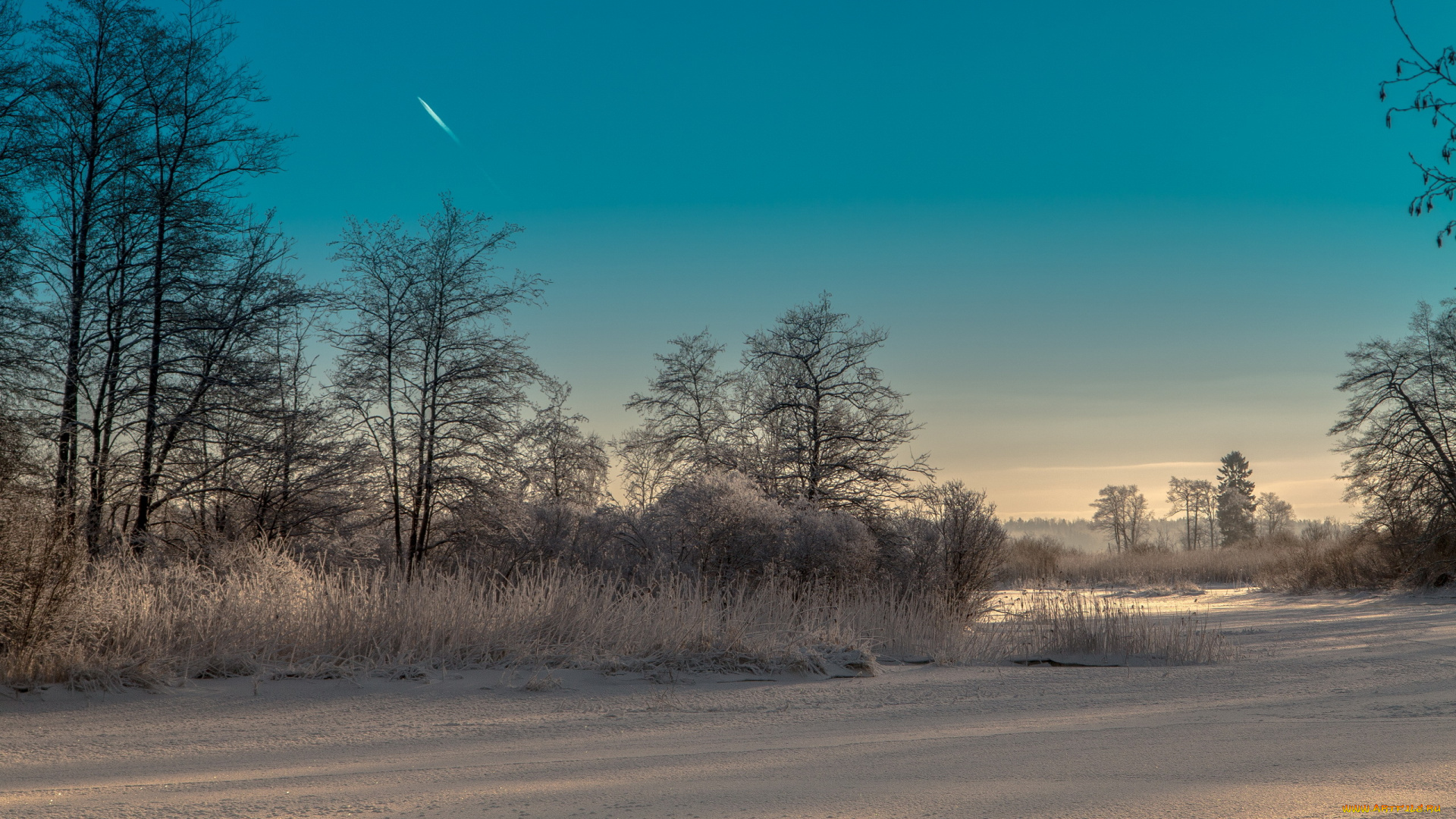 природа, пейзажи, зима, утро