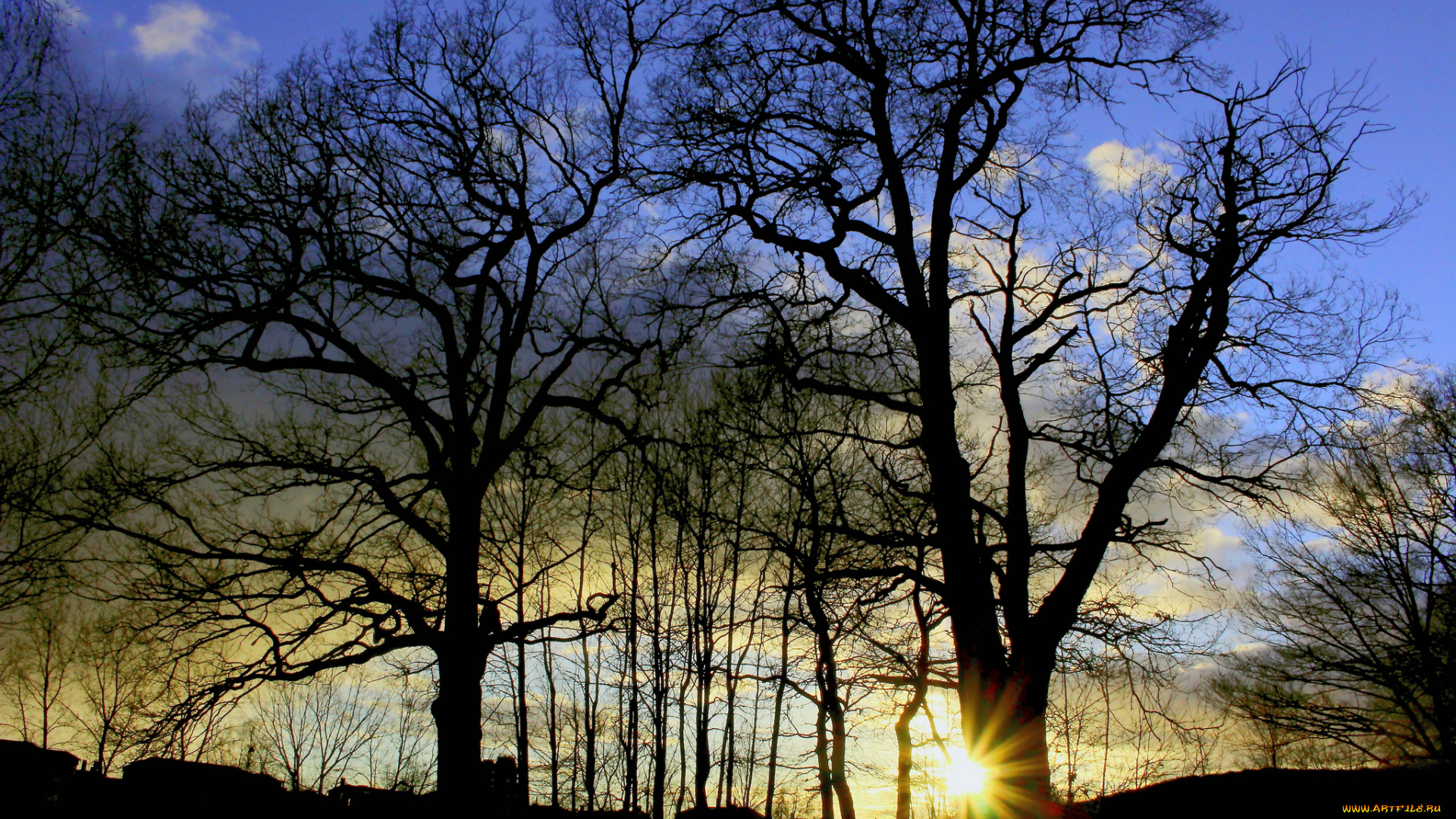 природа, восходы, закаты, рассвет