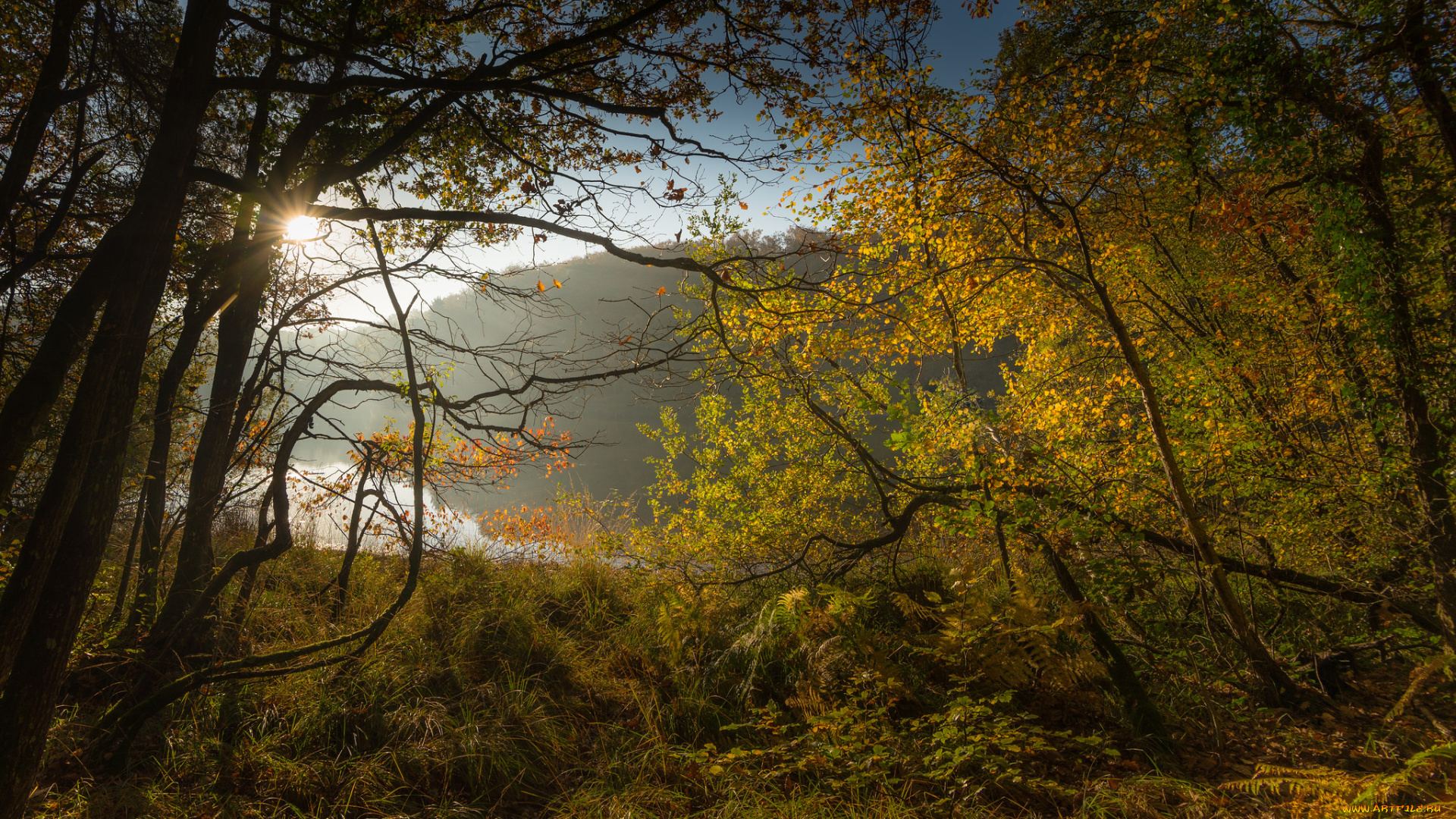 природа, восходы, закаты, рассвет