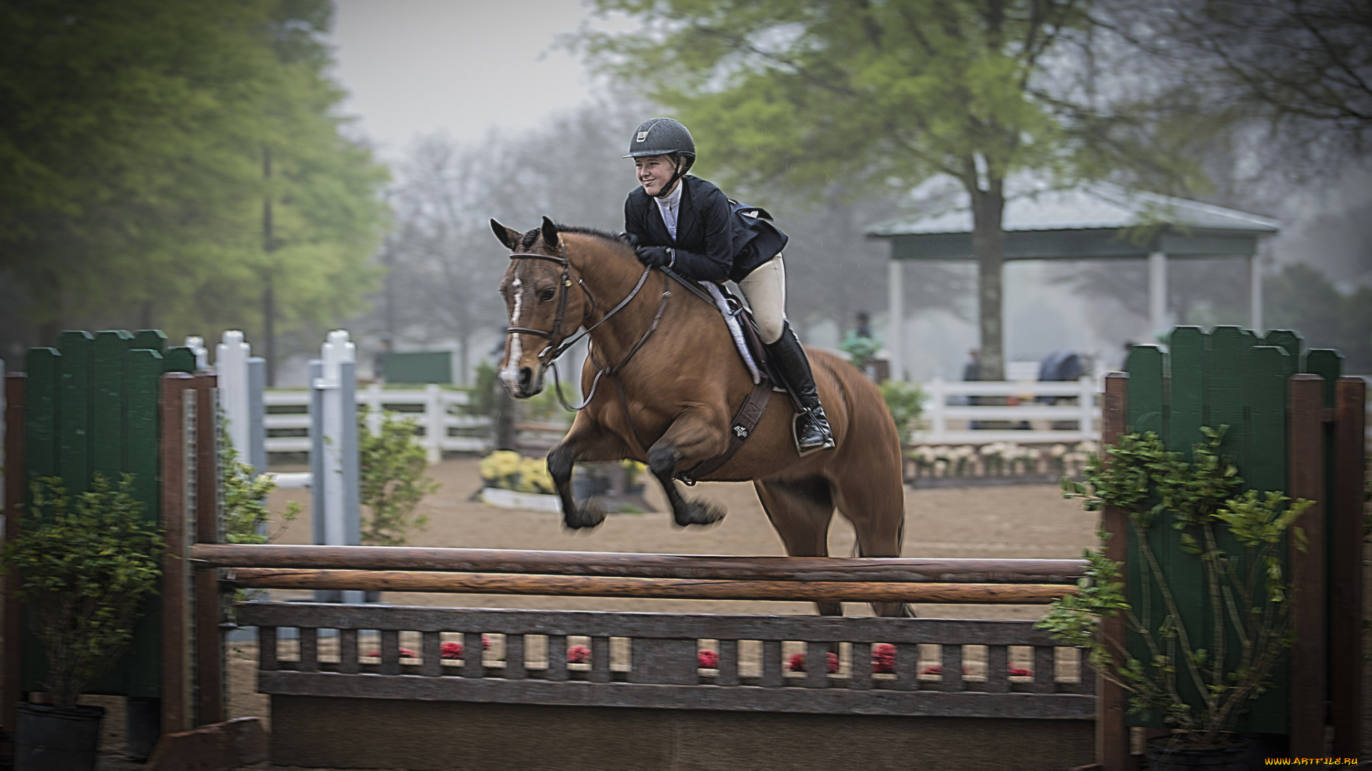 спорт, конный, спорт, скачки