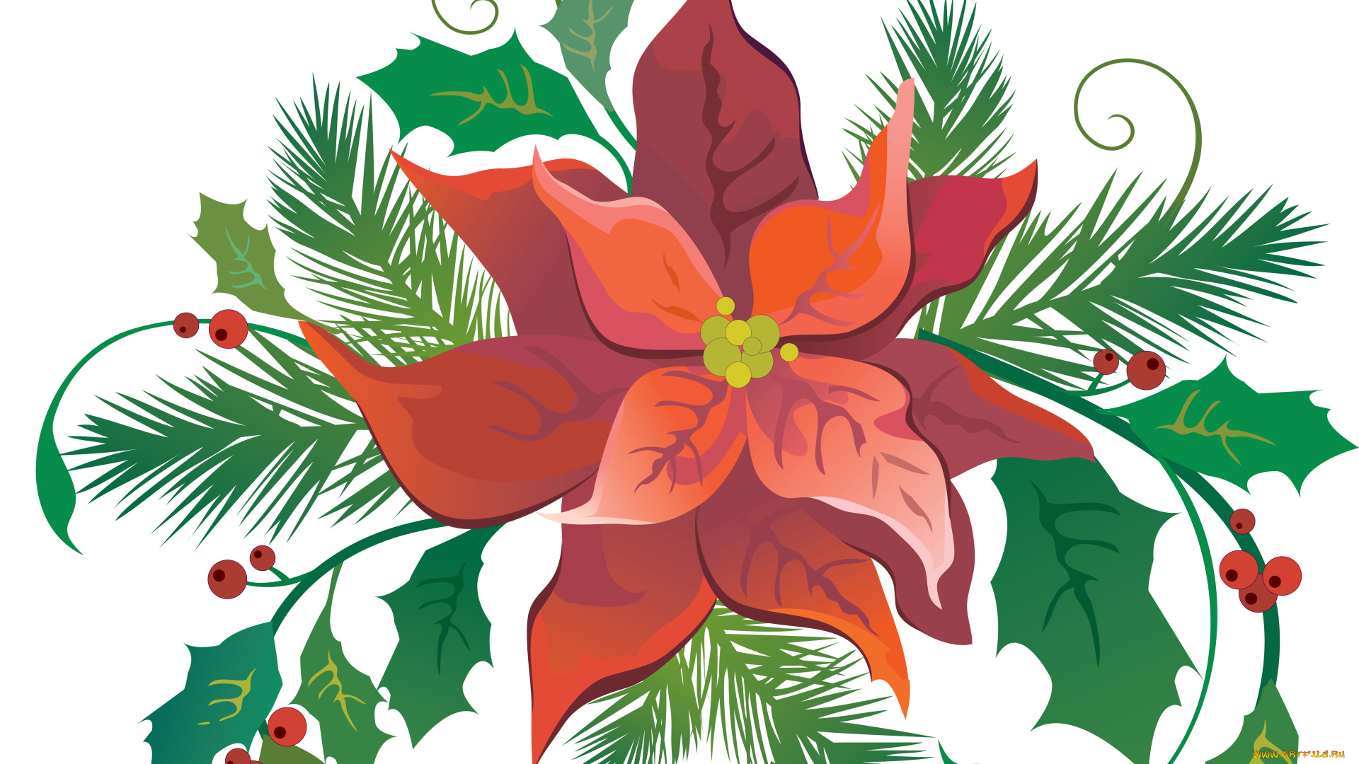 векторная, графика, цветы, , flowers, цветы, лепестки, фон