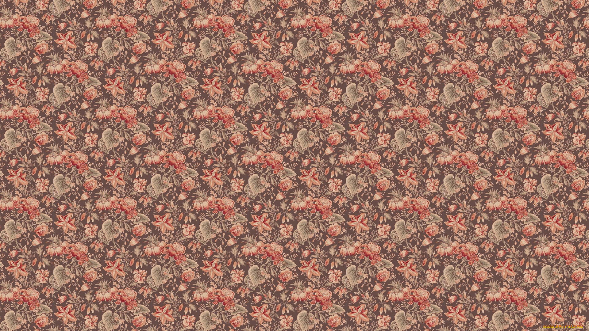 векторная, графика, цветы, , flowers, фон, лепестки, цветы