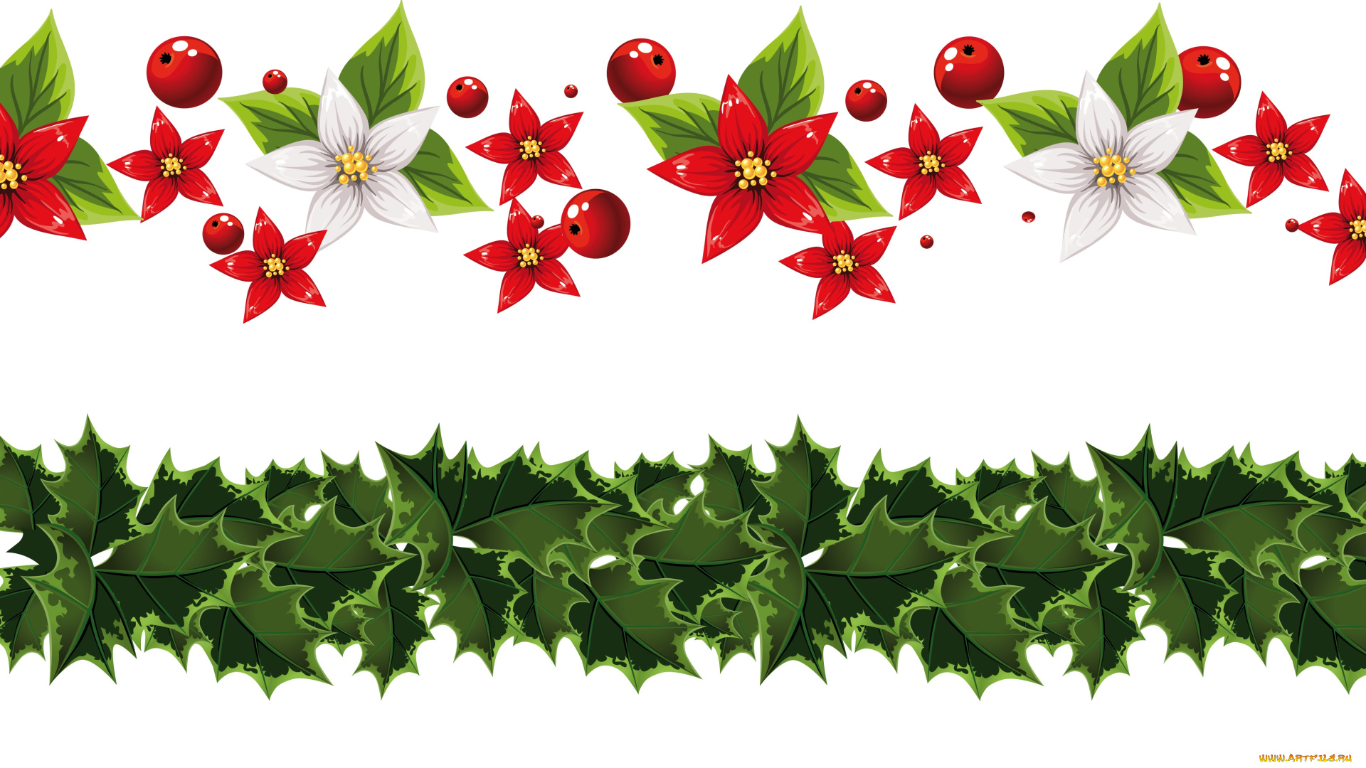 векторная, графика, цветы, , flowers, ягоды, фон, лепестки, цветы