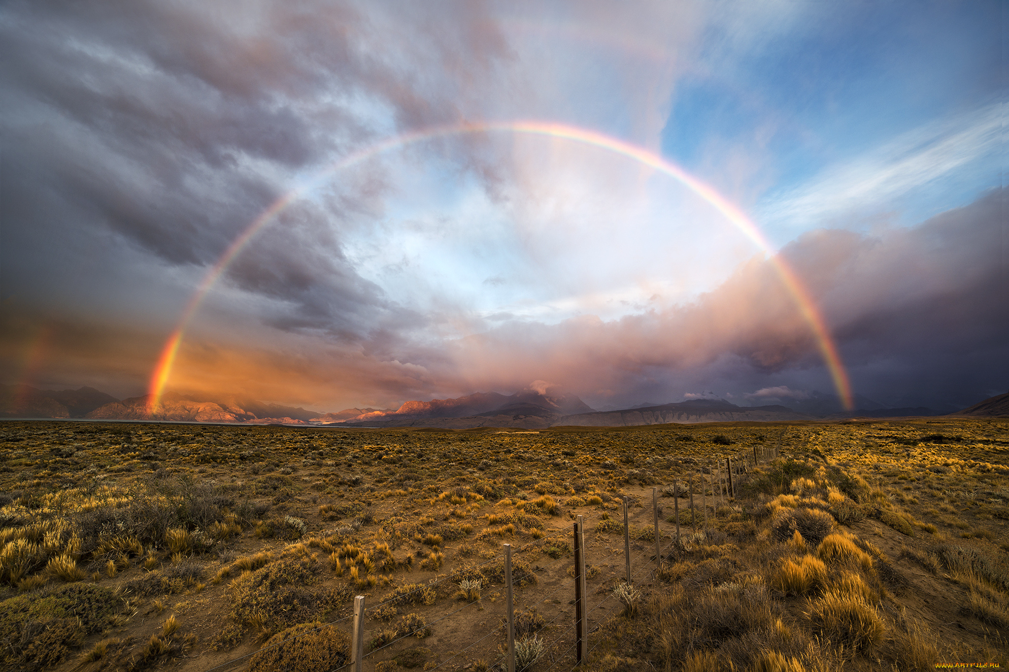 природа, радуга, коромысло