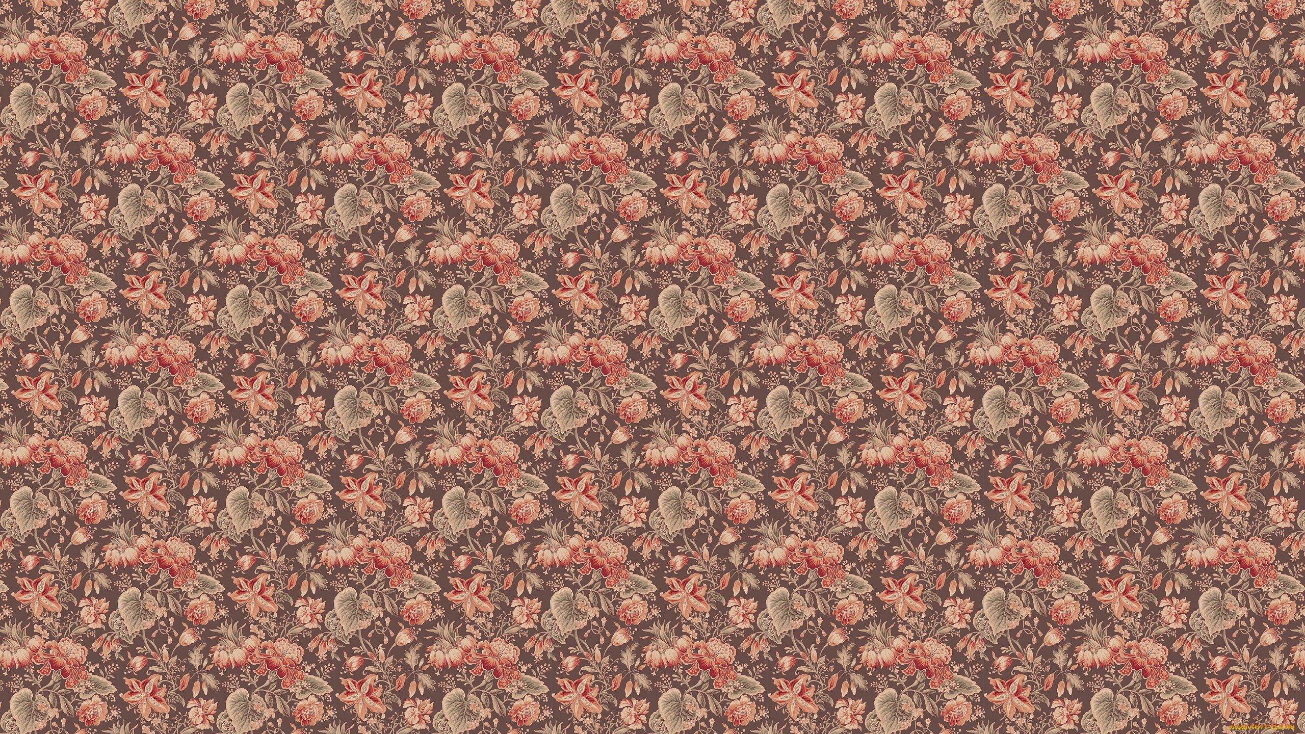 векторная, графика, цветы, , flowers, фон, лепестки, цветы