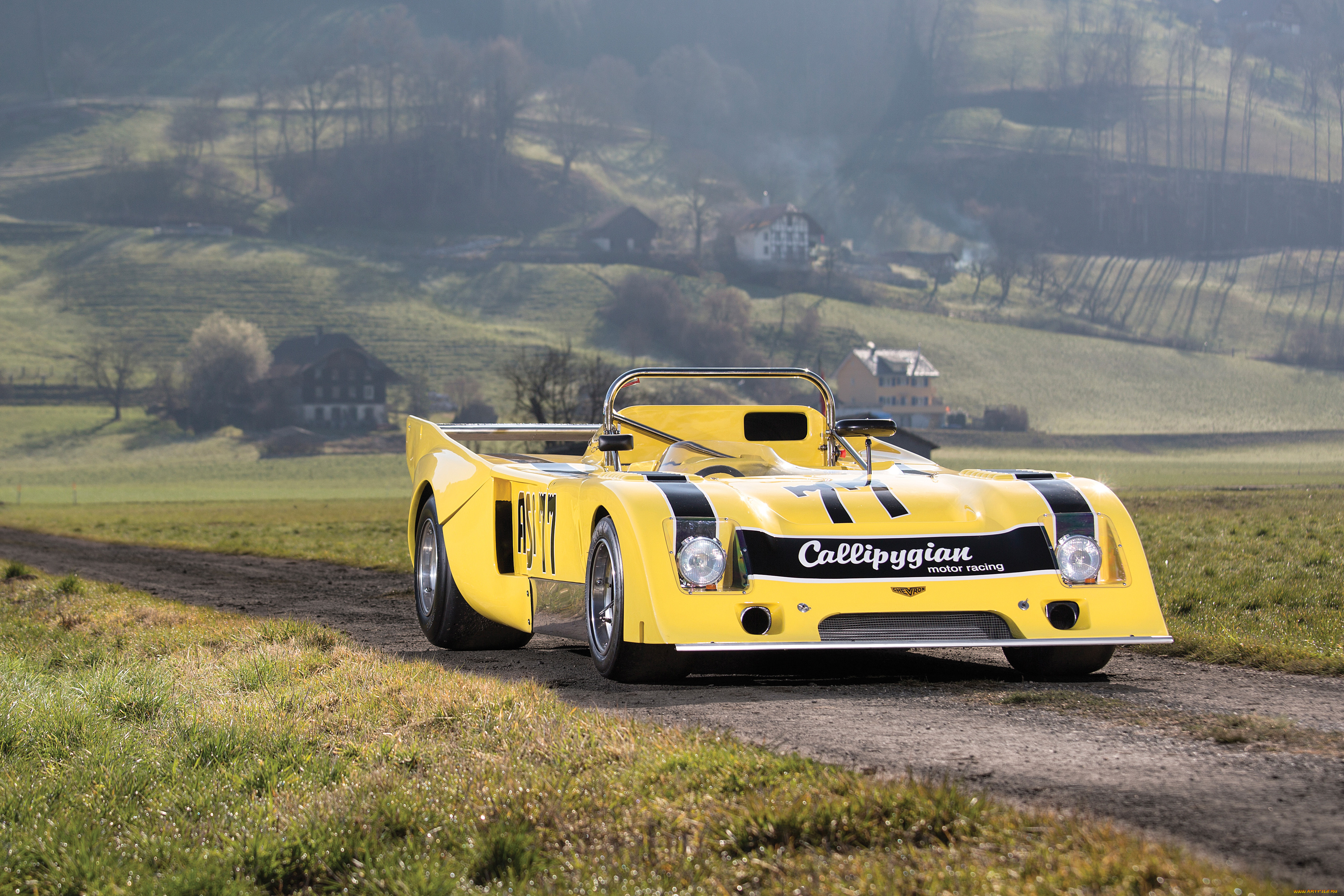 автомобили, chevron