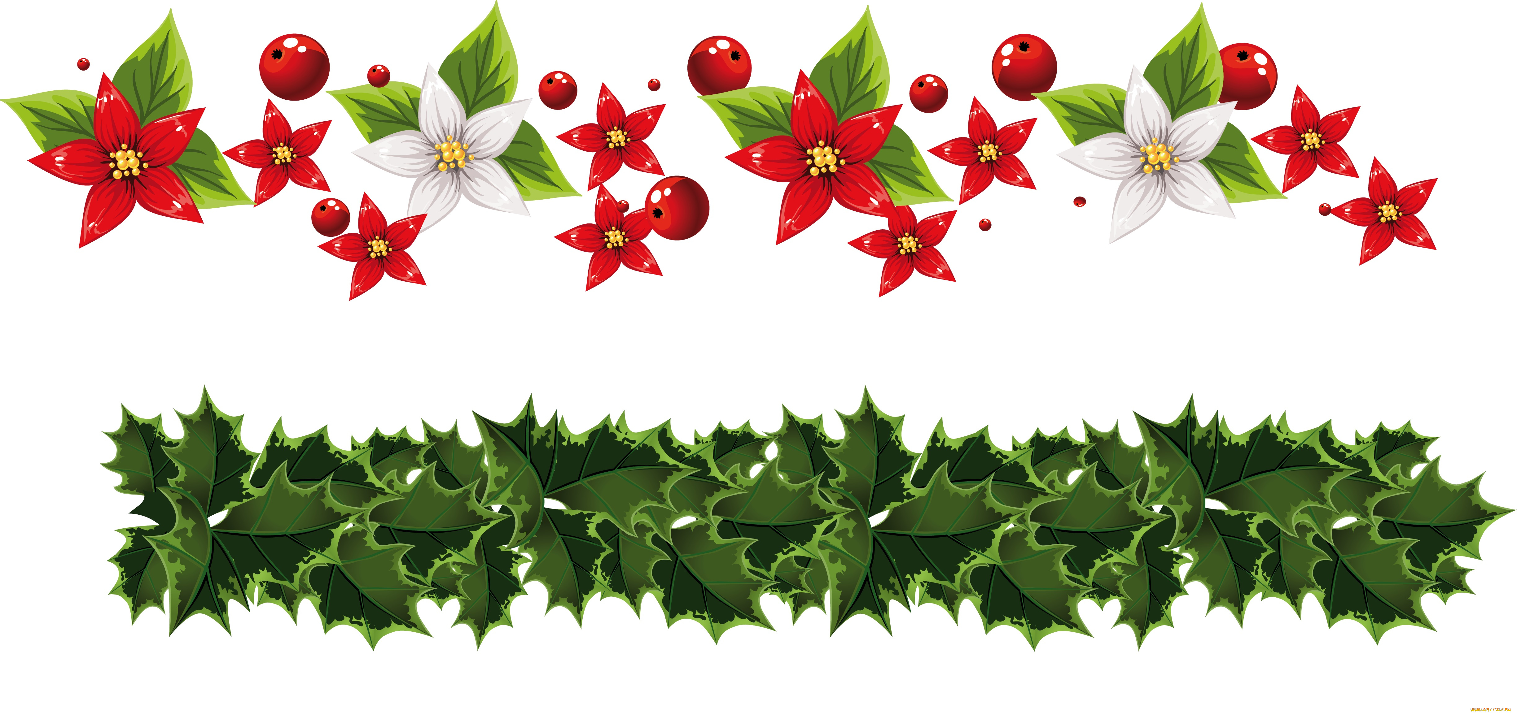 векторная, графика, цветы, , flowers, ягоды, фон, лепестки, цветы