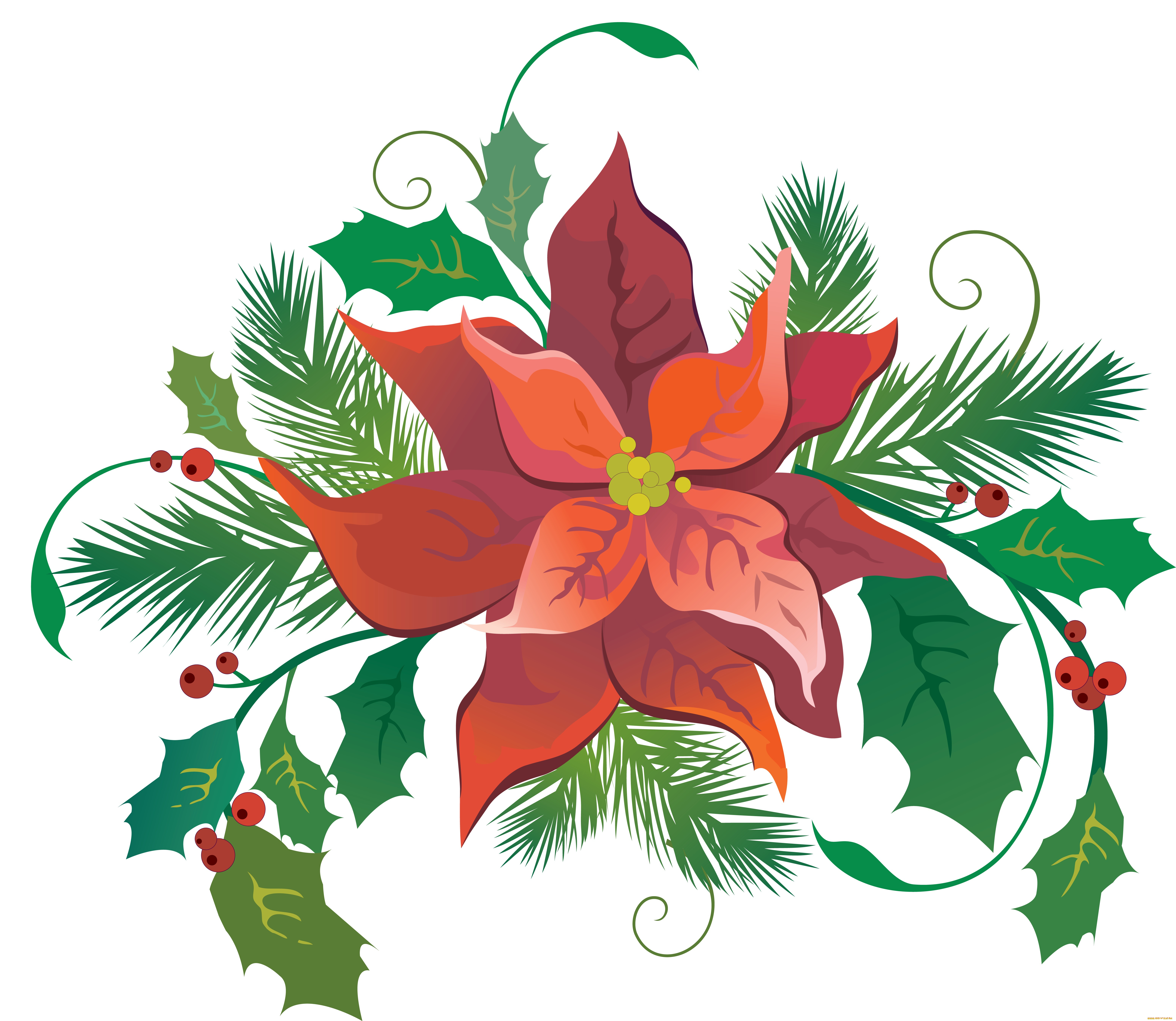 векторная, графика, цветы, , flowers, цветы, лепестки, фон