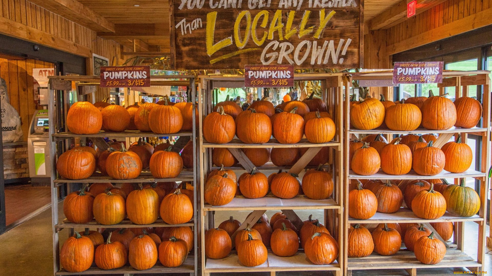 еда, тыква, магазин, полки, тыквы, цены