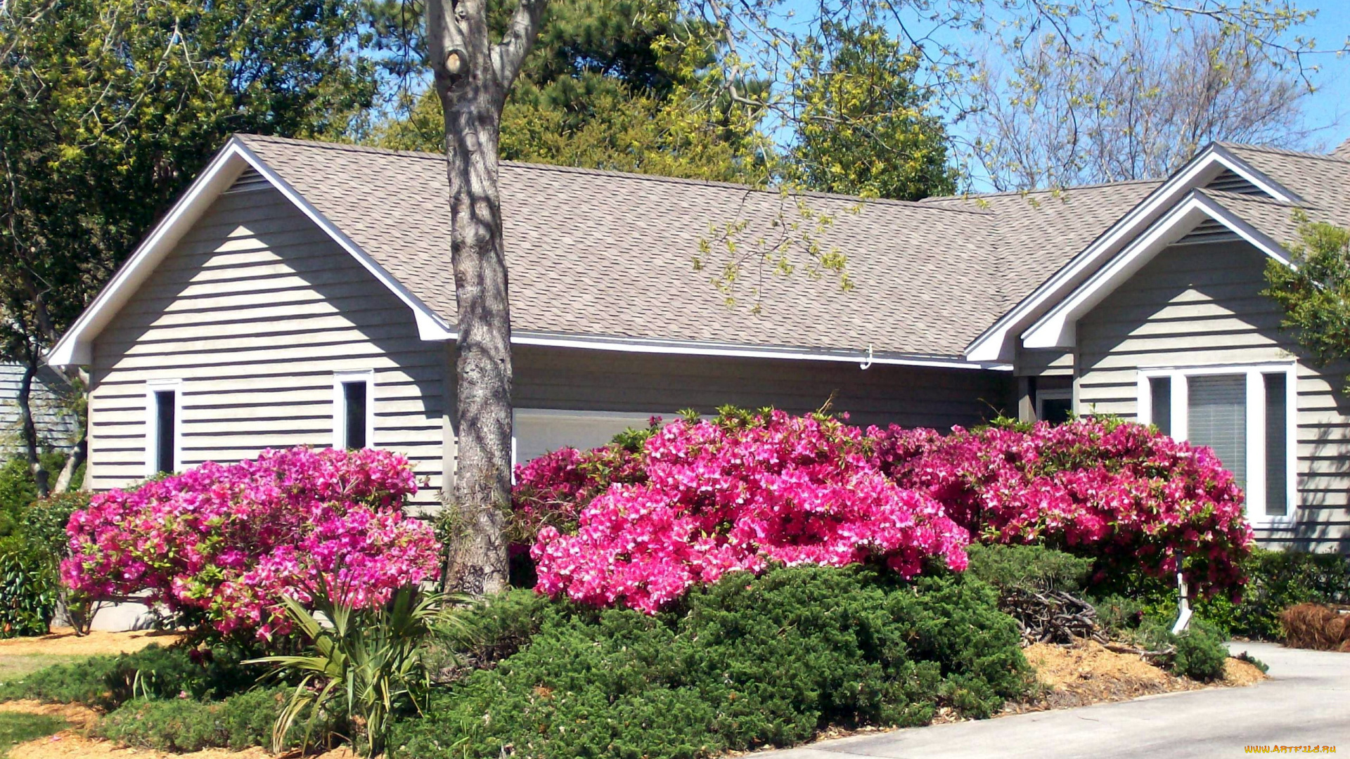 города, -, здания, , дома, цветы, весна, дорожка