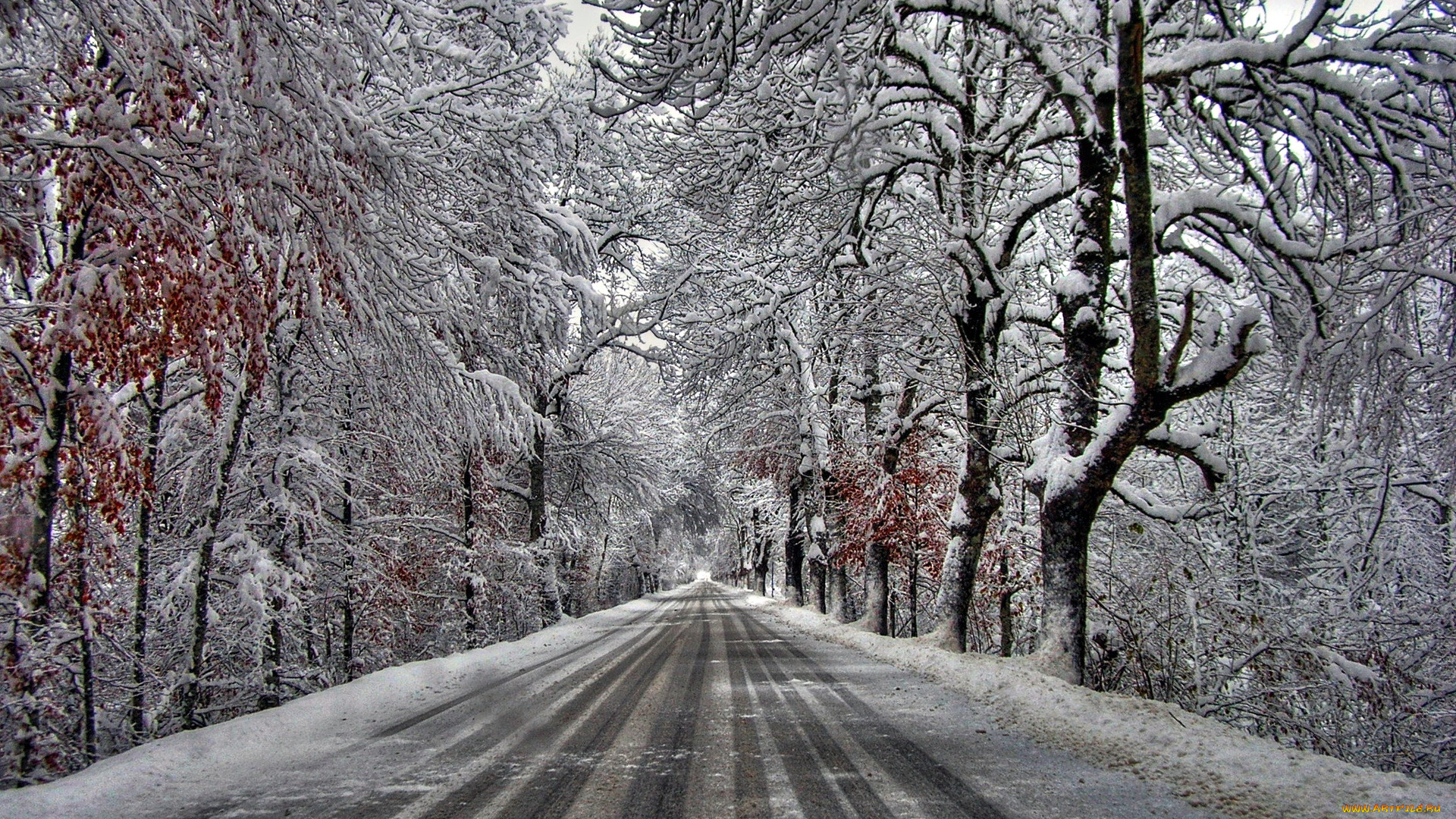 природа, дороги, деревья, снег, иней