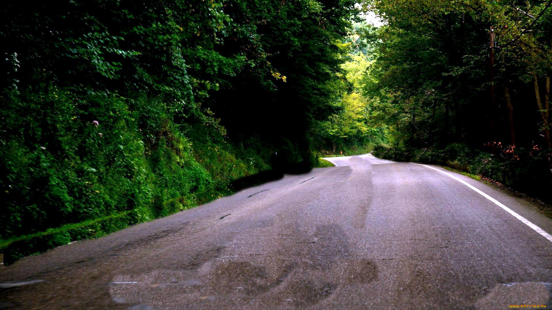 природа, дороги, шоссе