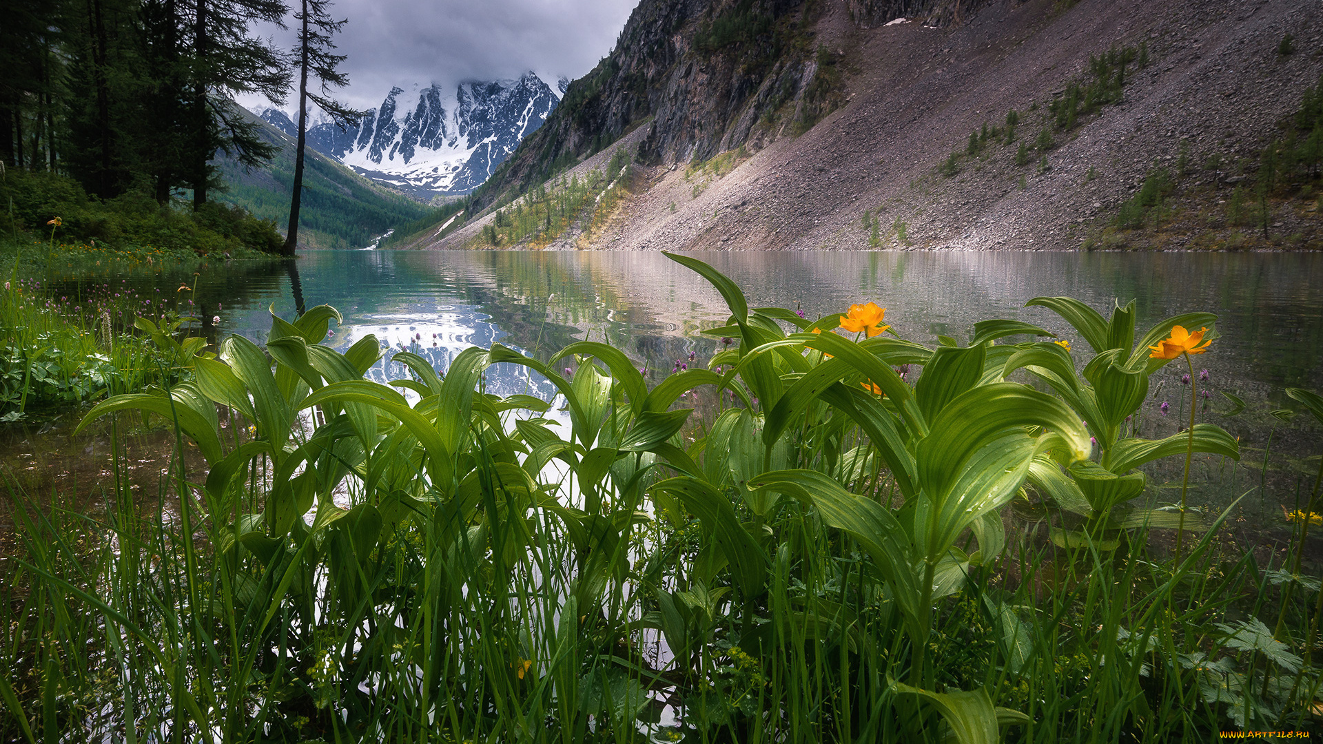 природа, горы, комментарий, без