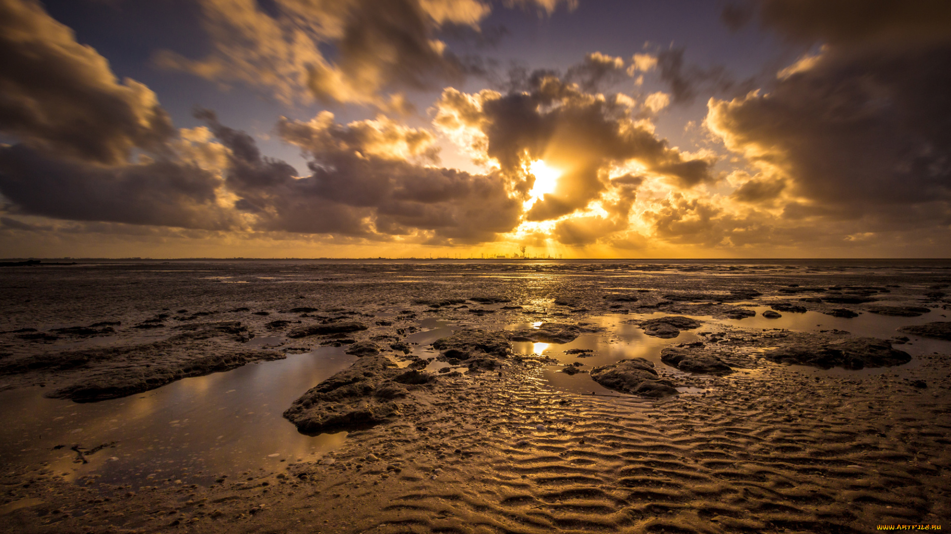 природа, побережье, река, лес