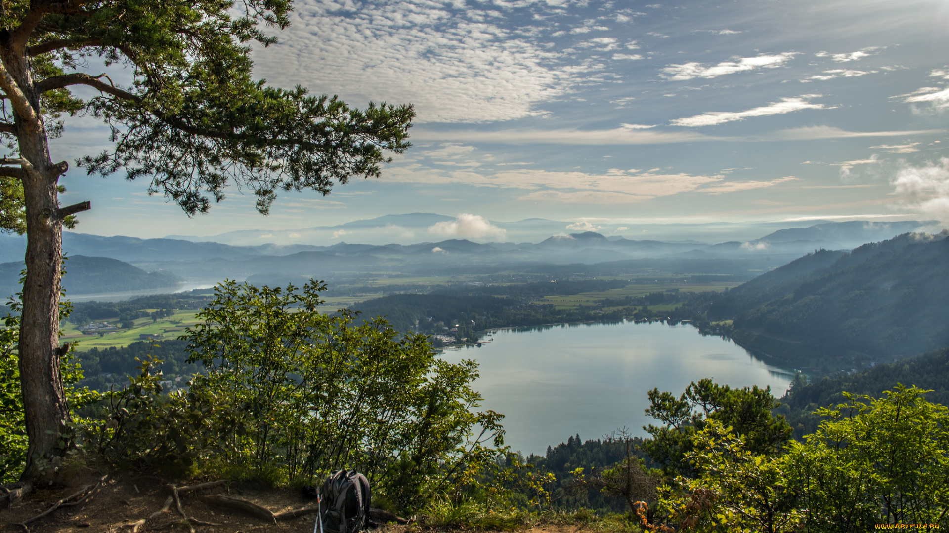 природа, реки, озера, лес, река