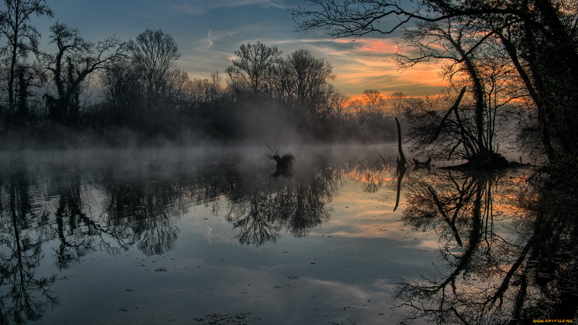 природа, реки, озера, лес, река