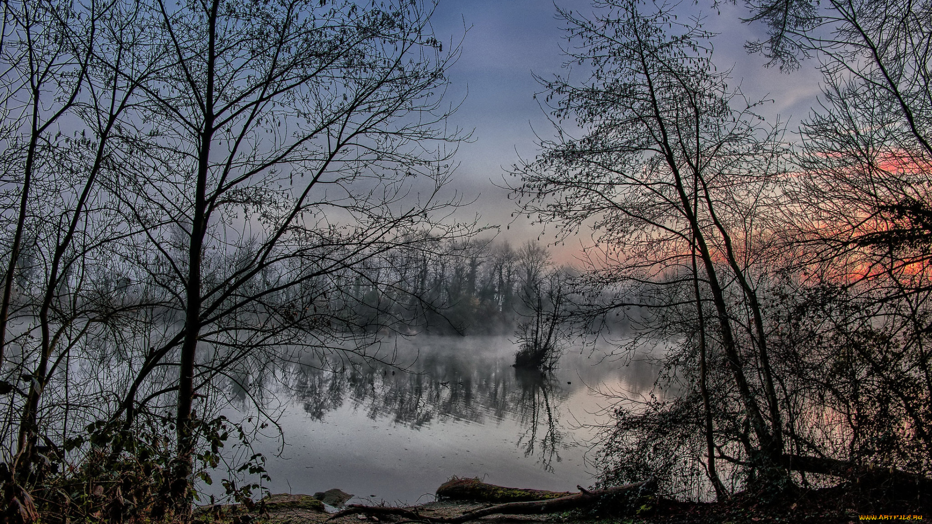 природа, реки, озера, лес, река