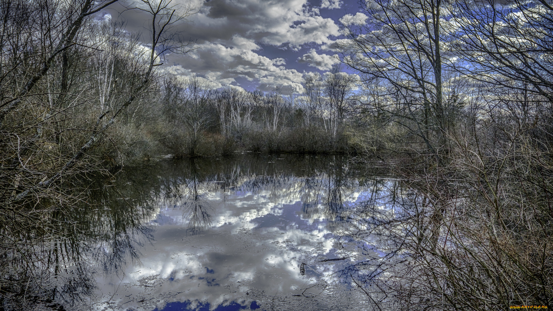 природа, реки, озера, лес, река