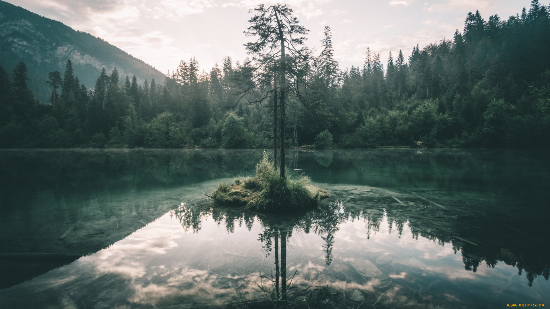 природа, реки, озера, озеро, лес, дерево, небо