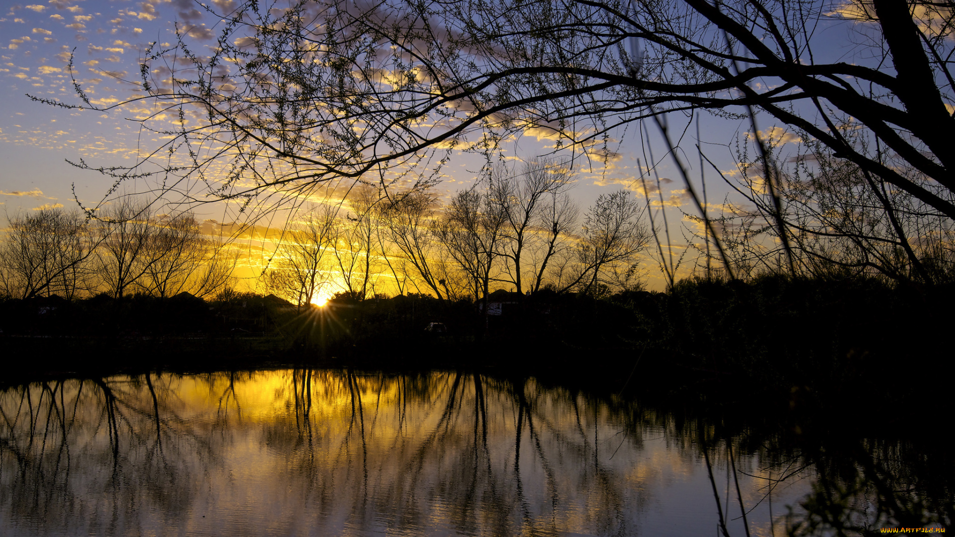 природа, реки, озера, река, лес
