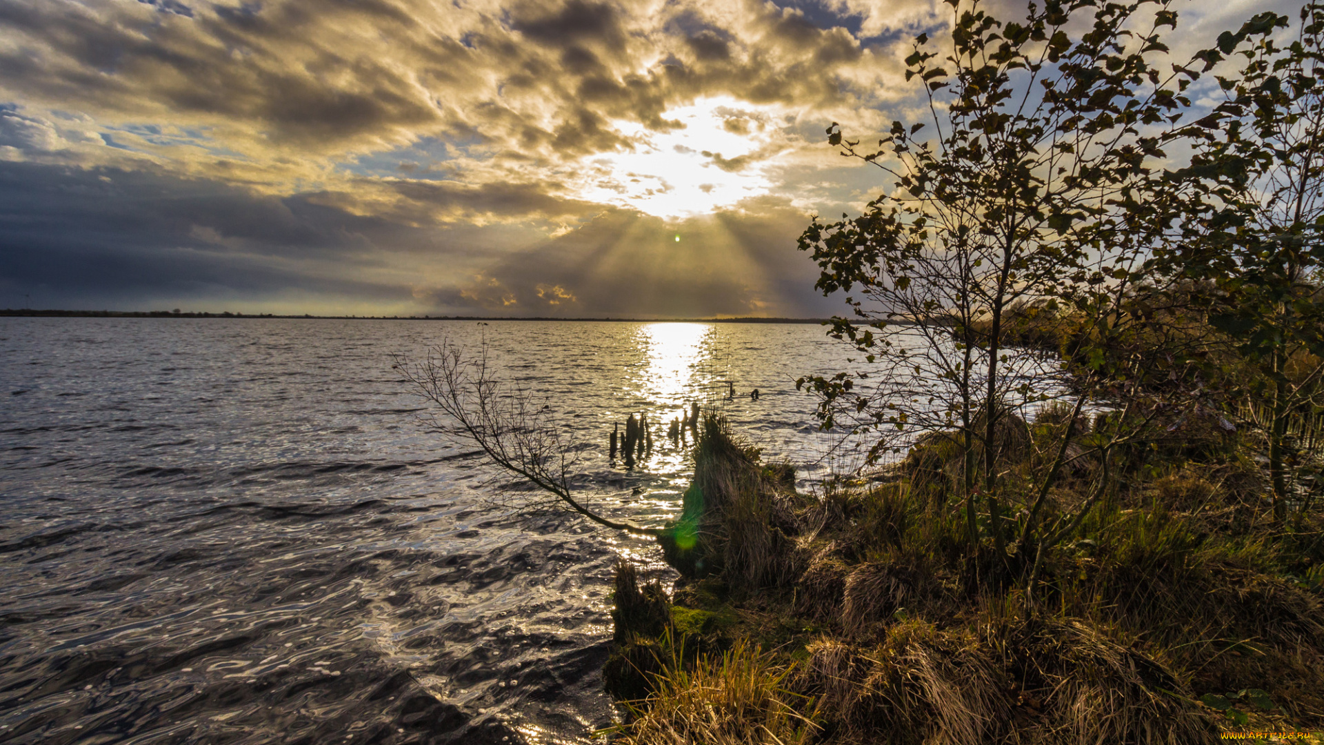 природа, реки, озера, река, лес