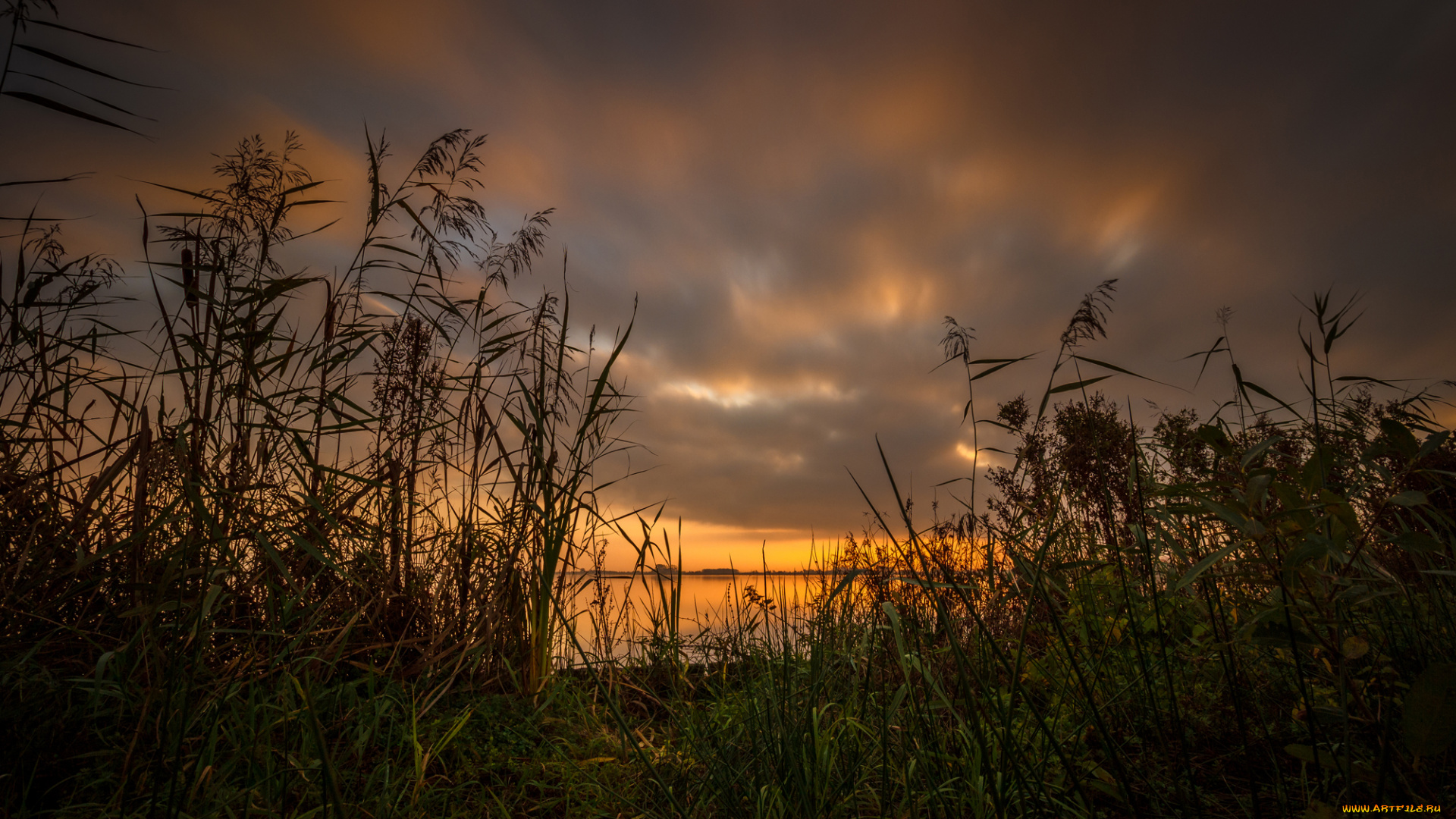 природа, реки, озера, река, лес