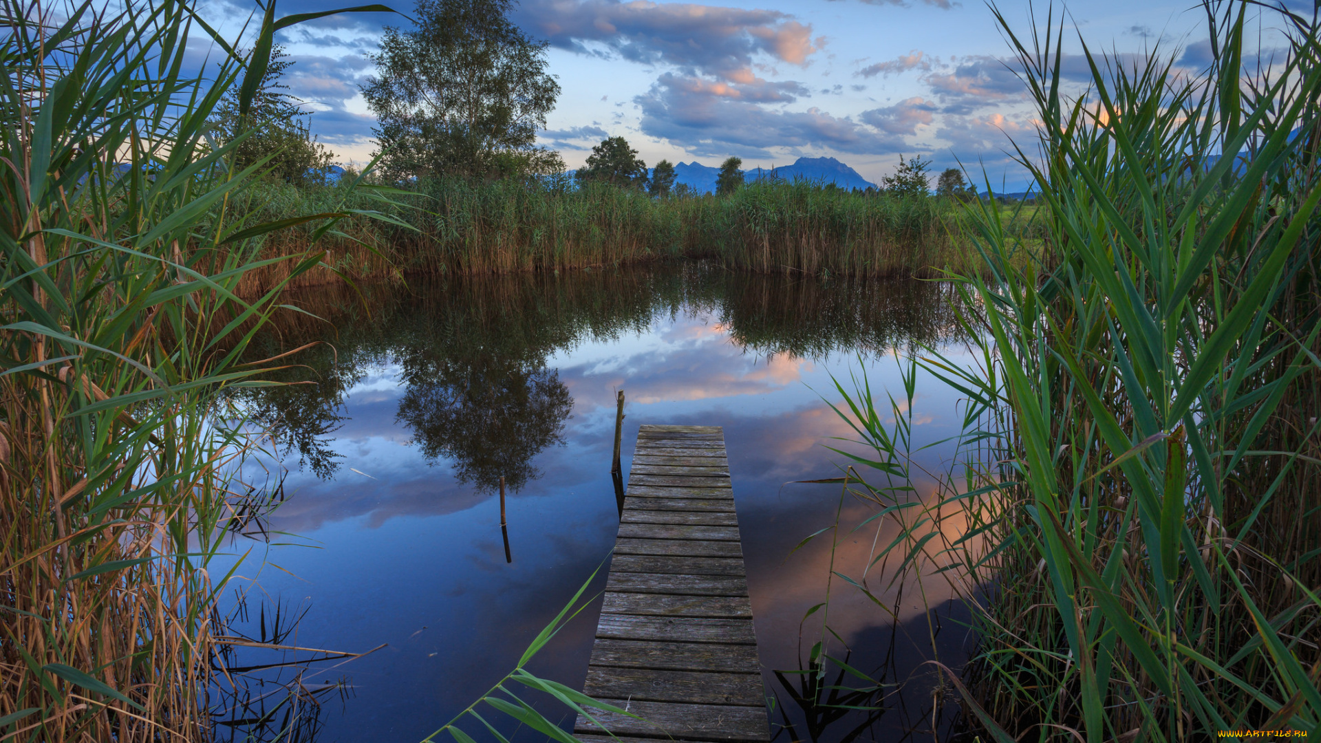 природа, реки, озера, река, лес