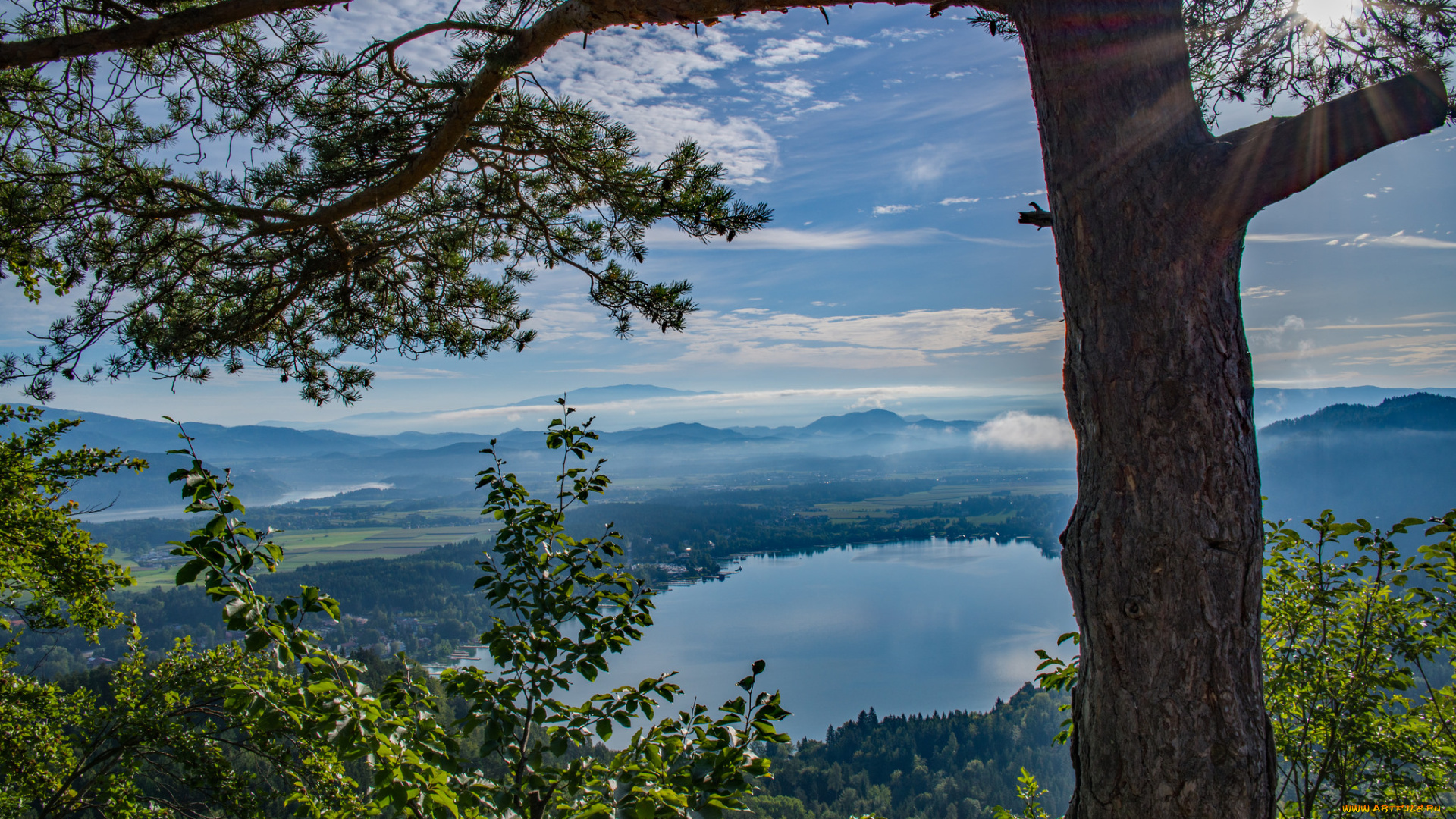 природа, реки, озера, река, лес