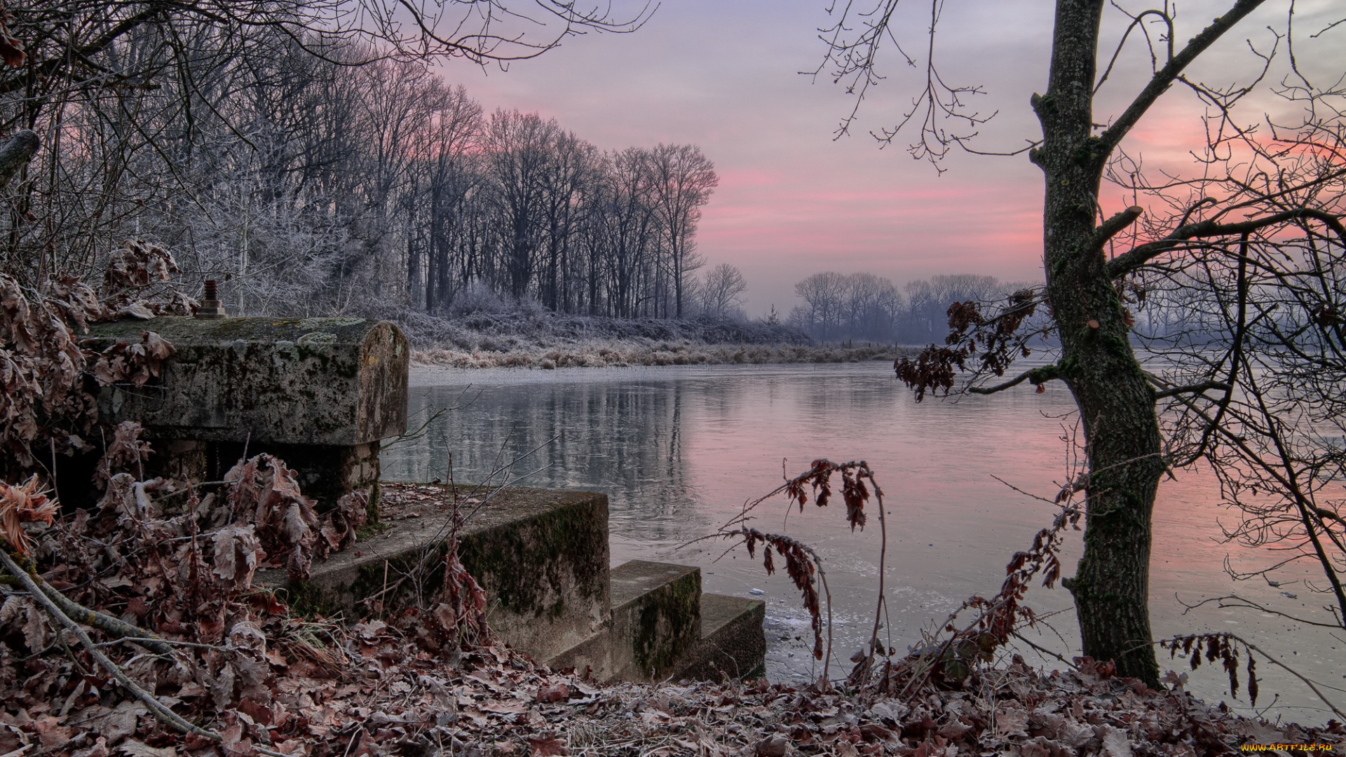 природа, реки, озера, река, лес