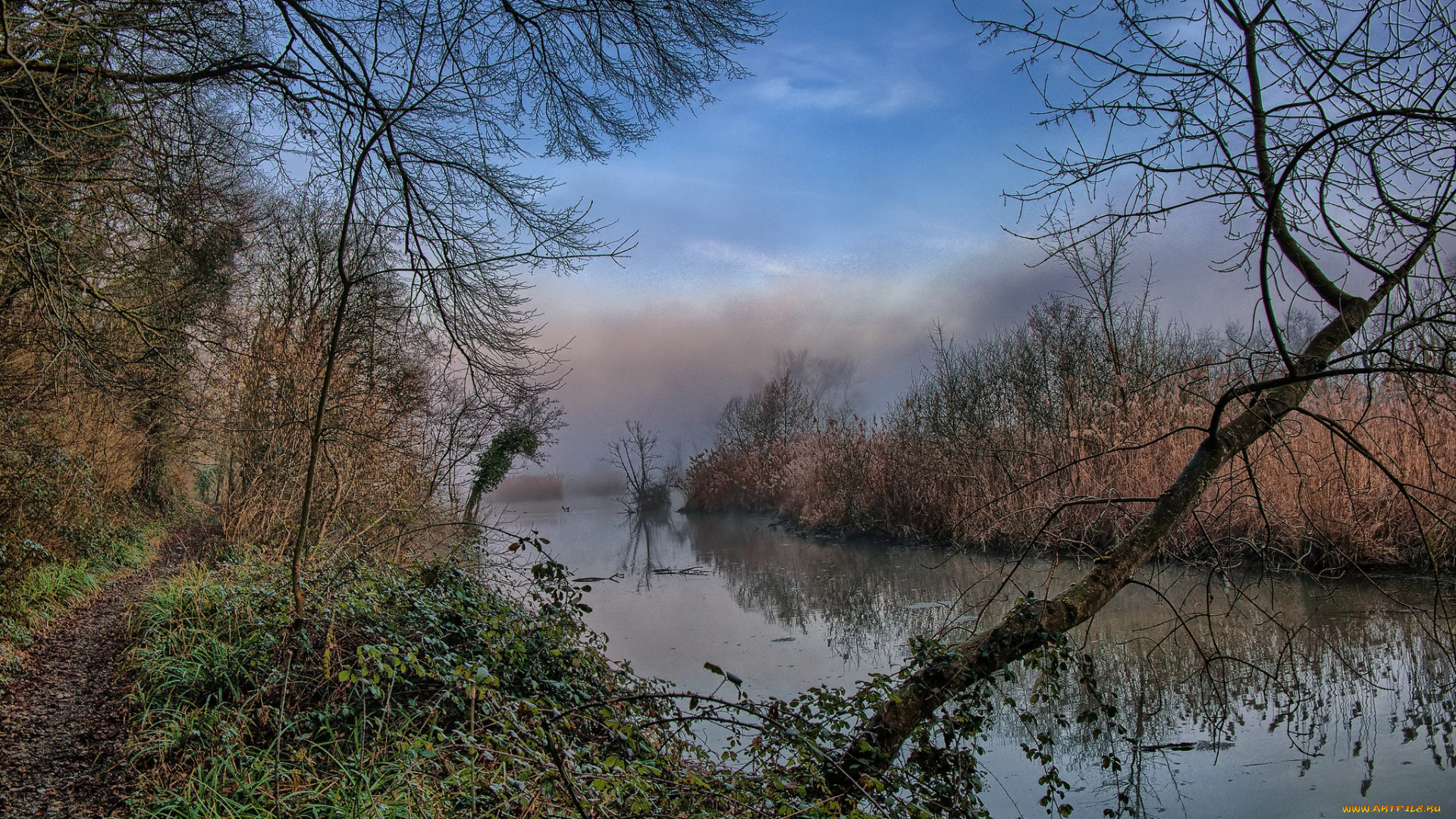 природа, реки, озера, река, лес