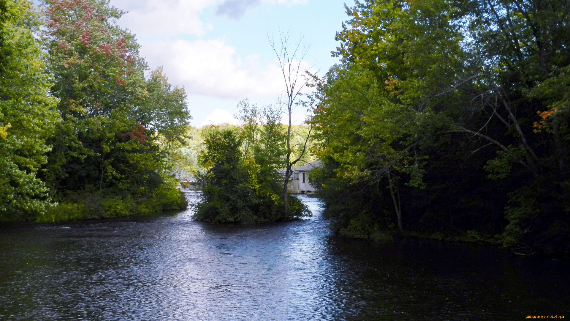 природа, реки, озера, заводь
