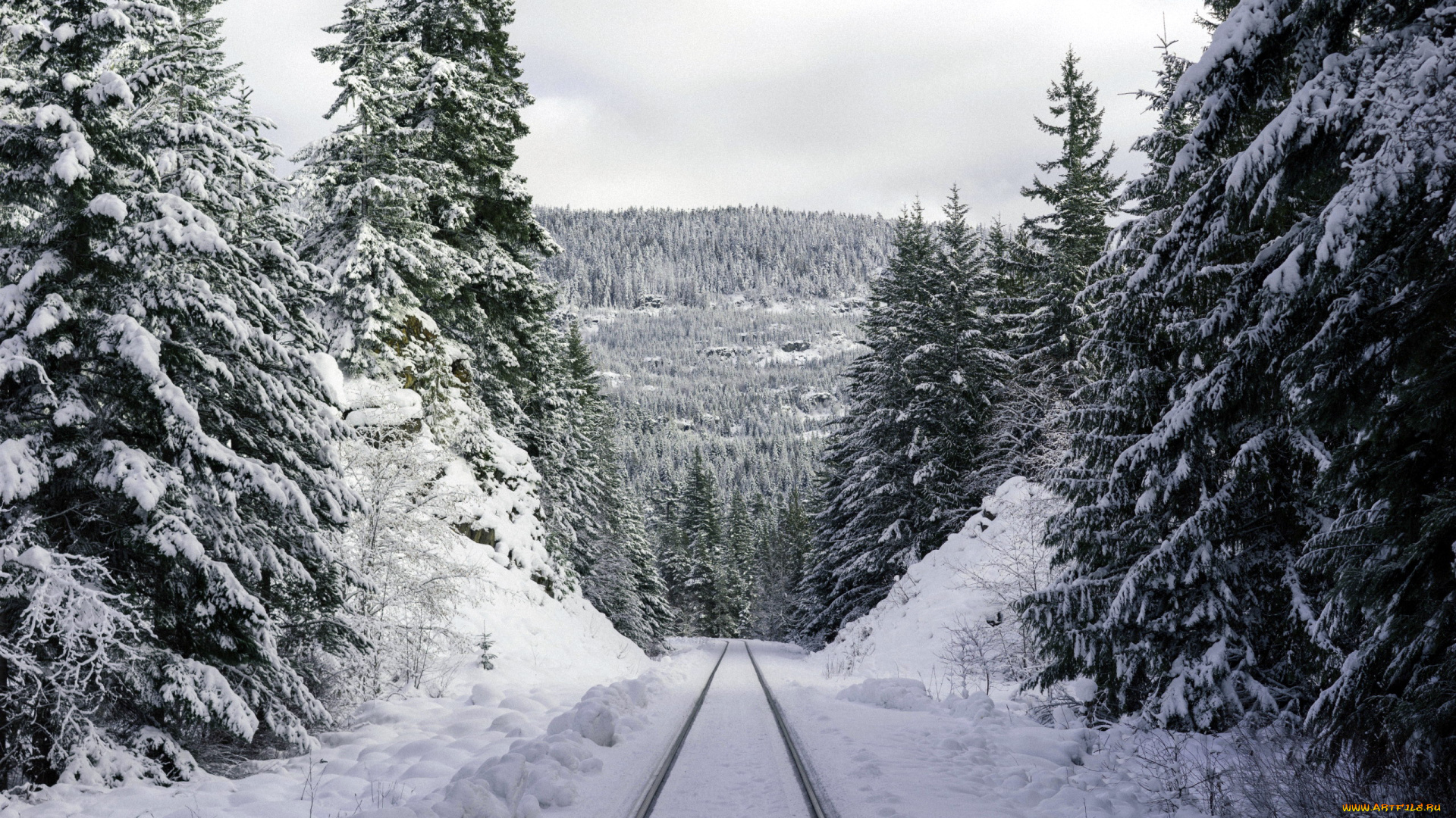 природа, зима, снег, деревья