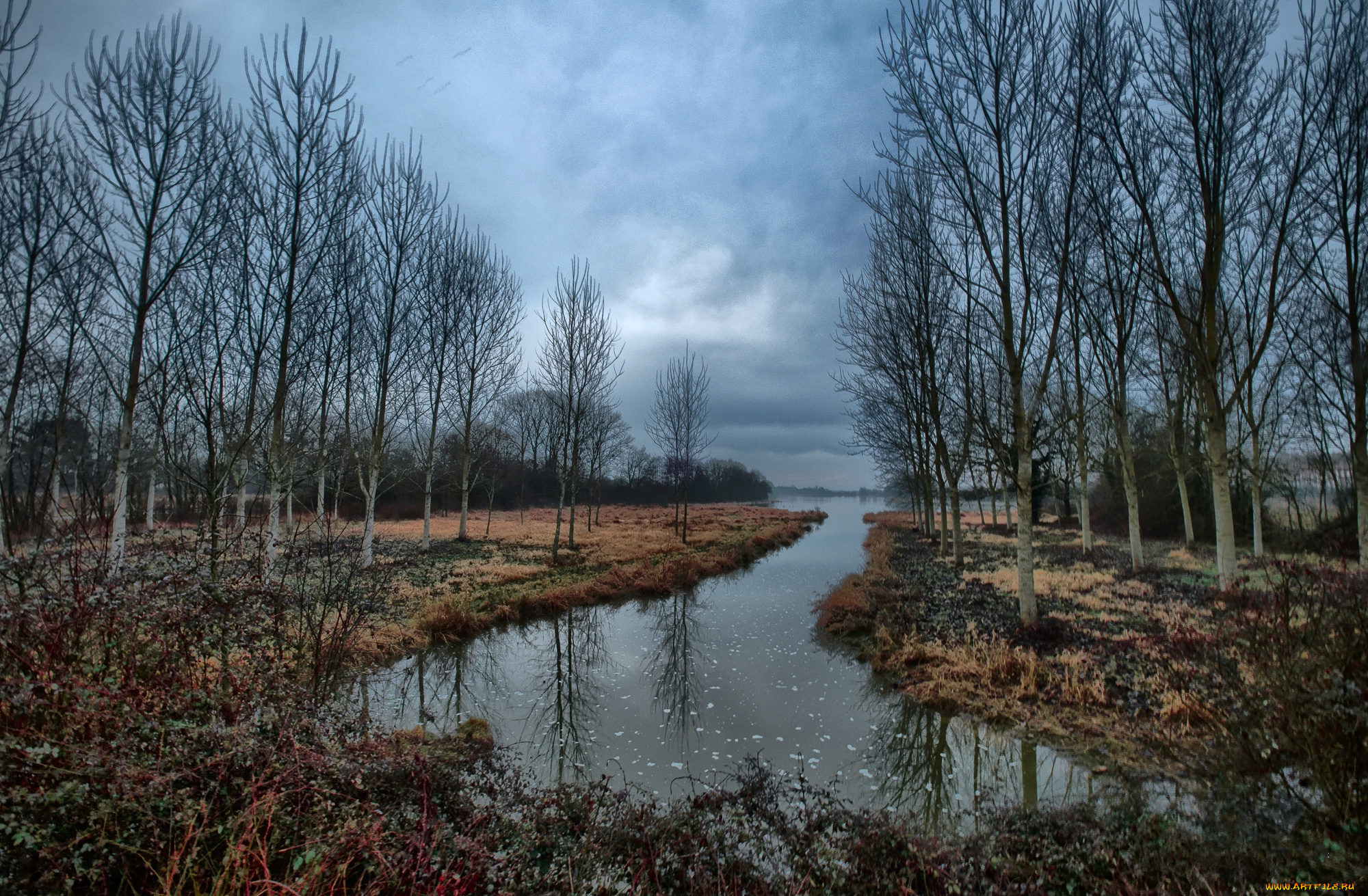 природа, реки, озера, лес, река