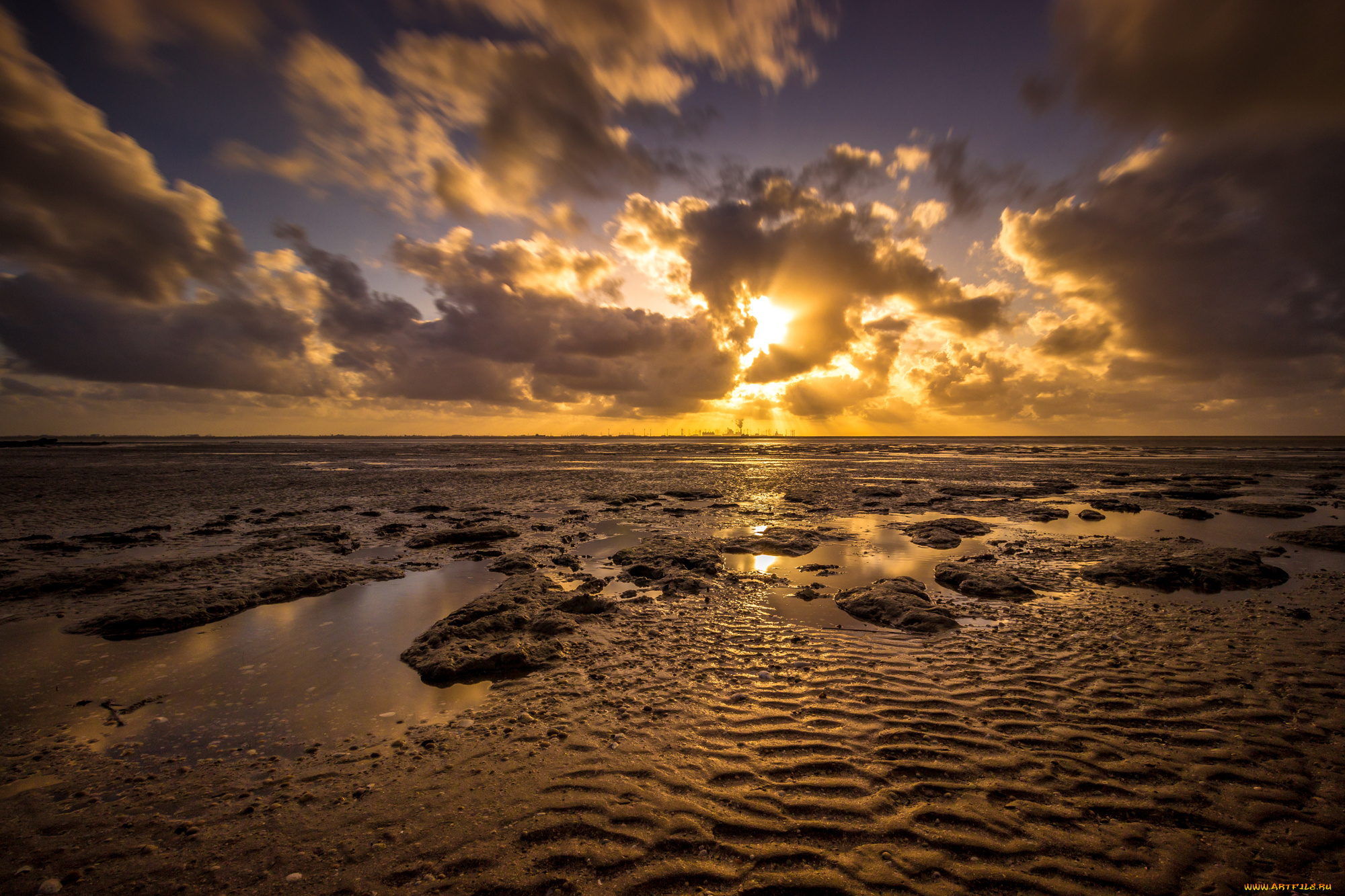 природа, побережье, река, лес