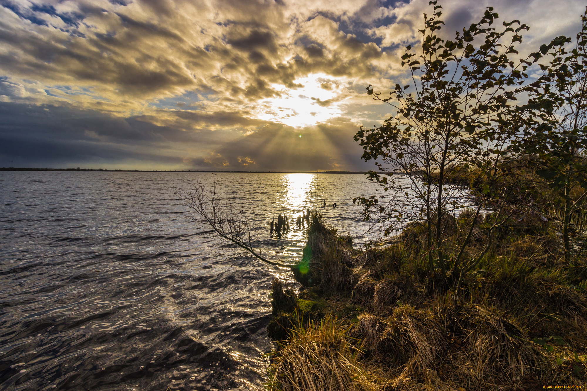 природа, реки, озера, река, лес