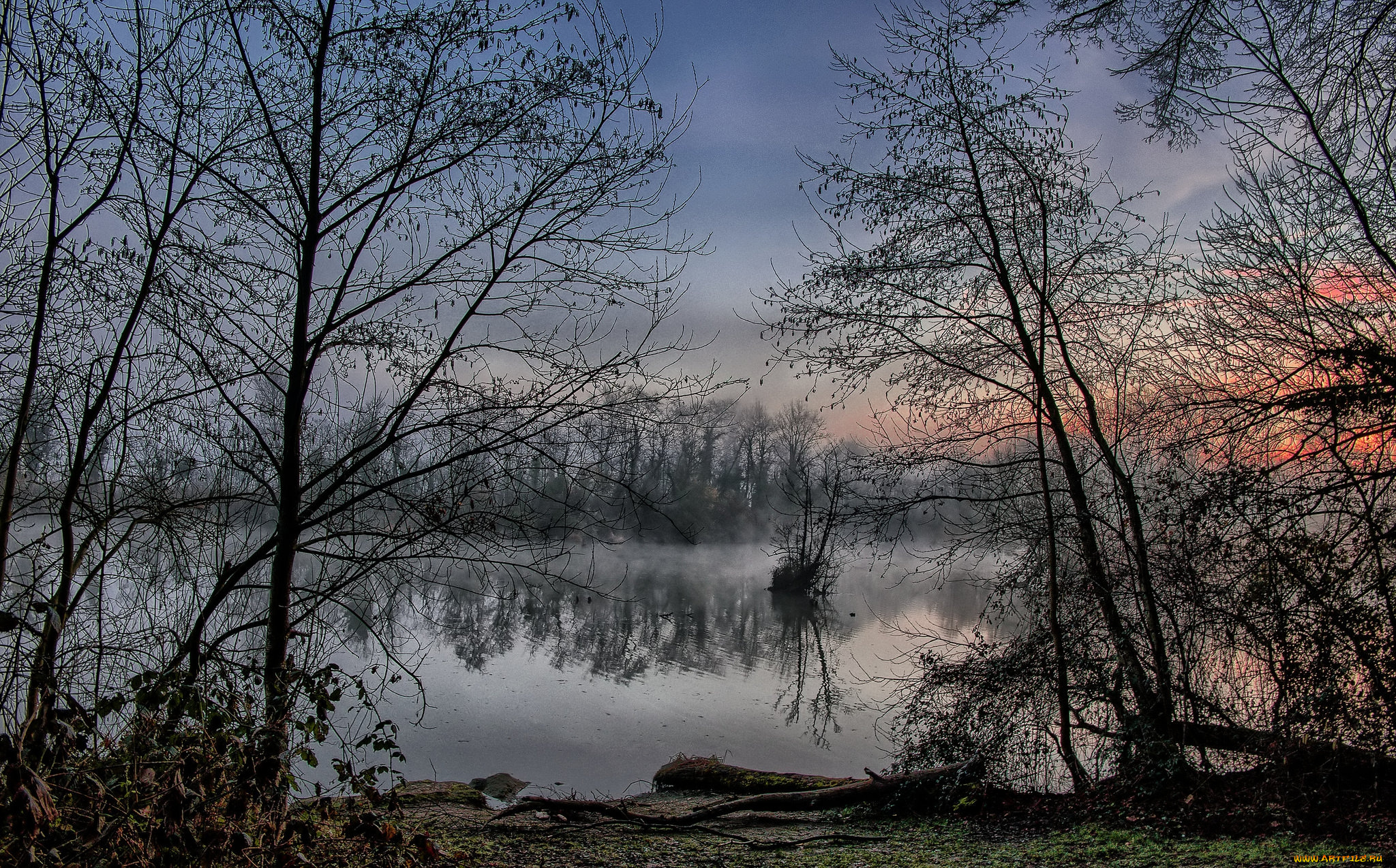 природа, реки, озера, лес, река