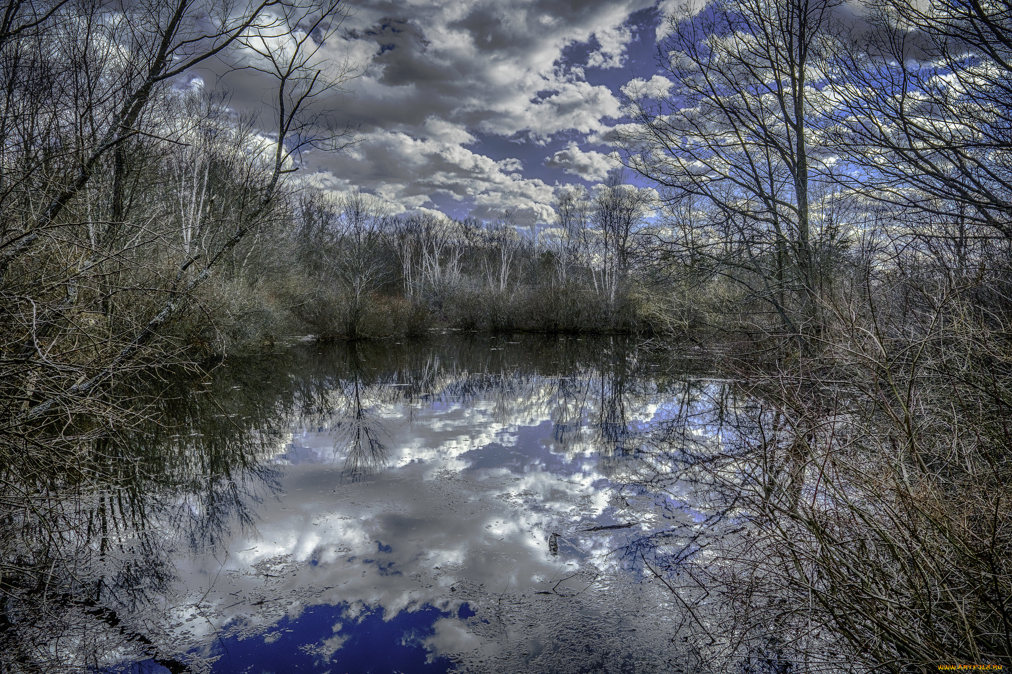 природа, реки, озера, лес, река