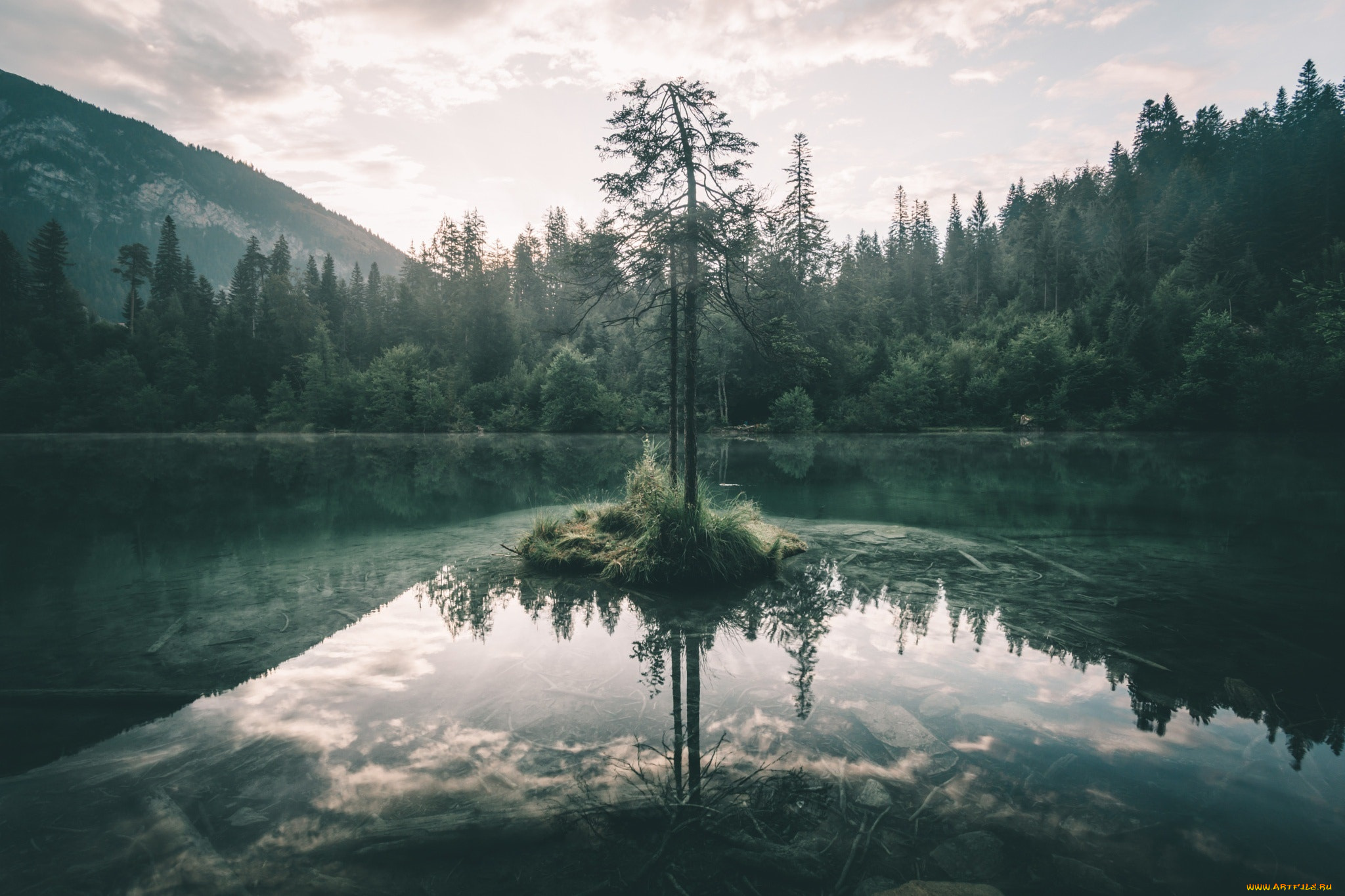 природа, реки, озера, озеро, лес, дерево, небо