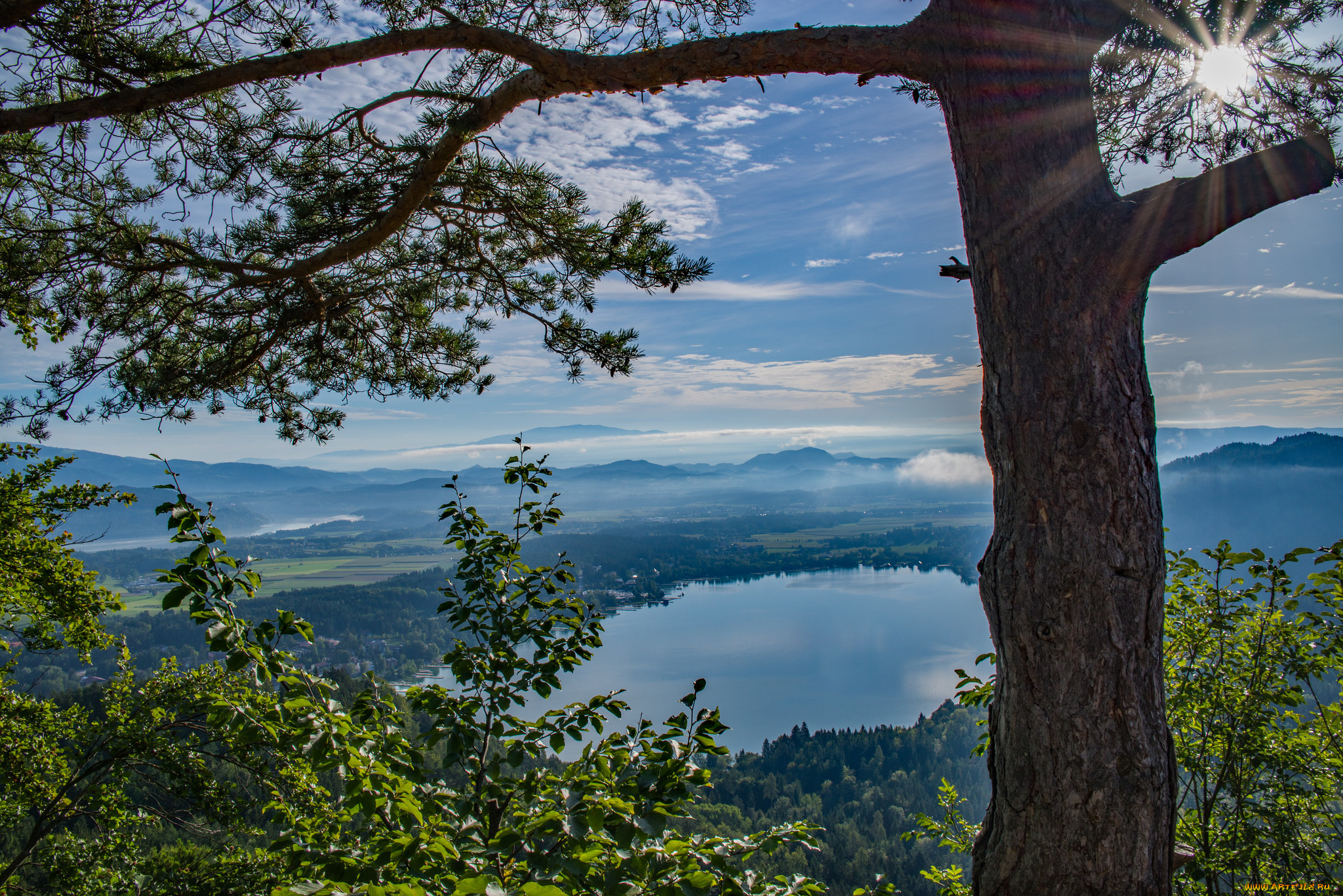 природа, реки, озера, река, лес