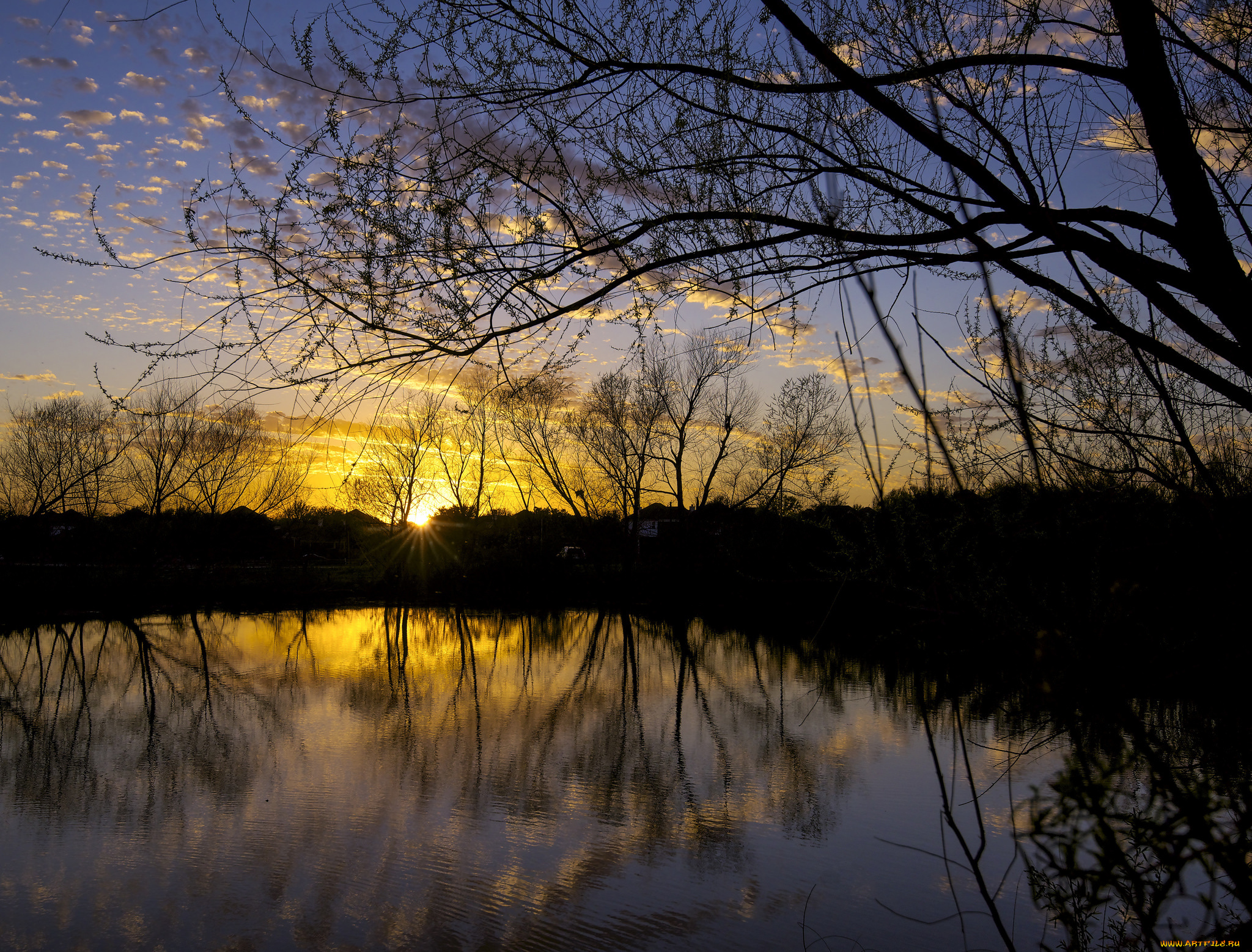 природа, реки, озера, река, лес