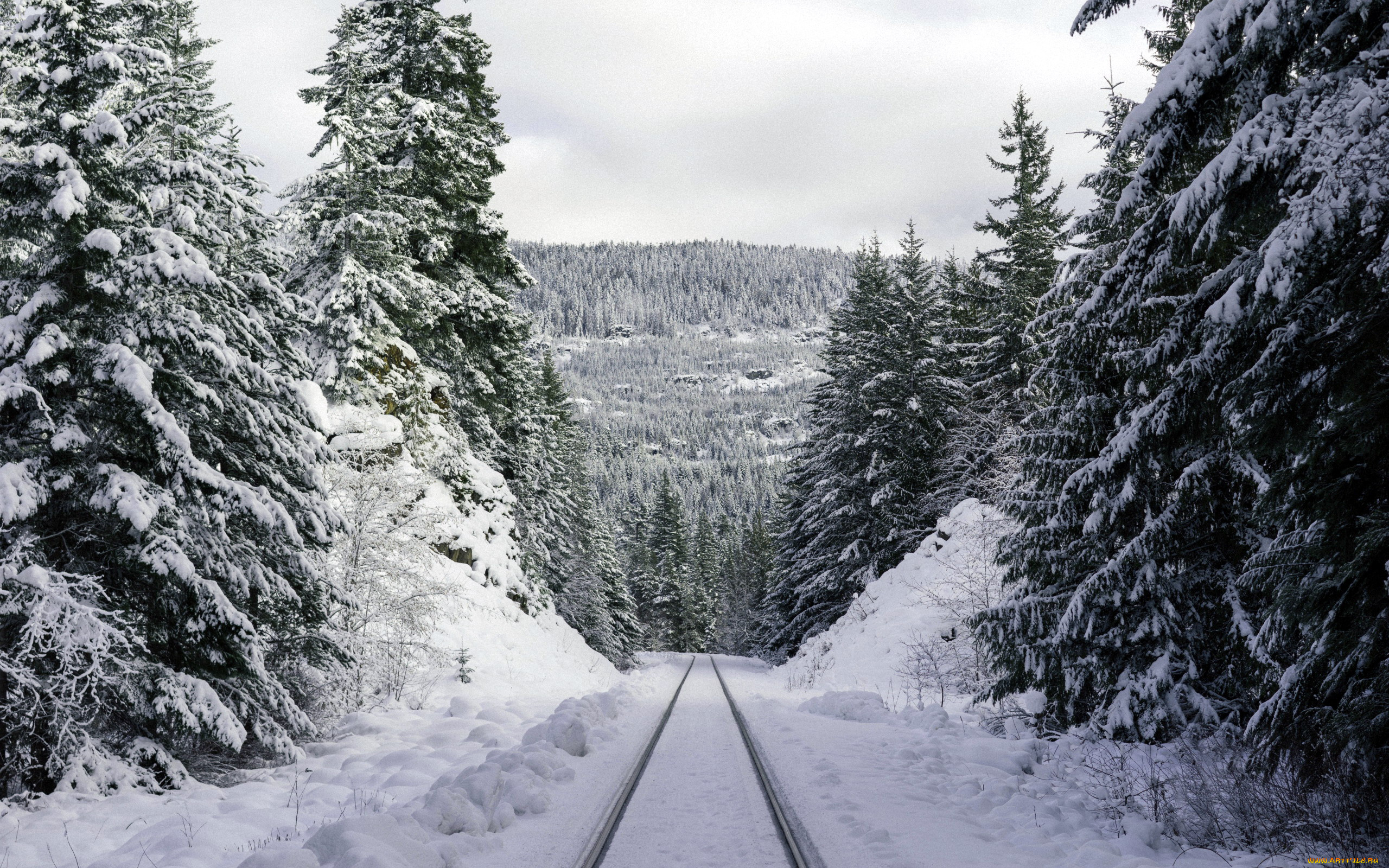 природа, зима, снег, деревья