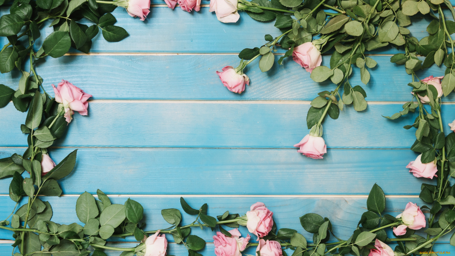 цветы, розы, roses, fresh, розовые, flowers, tender, romantic, pink, wood, бутоны