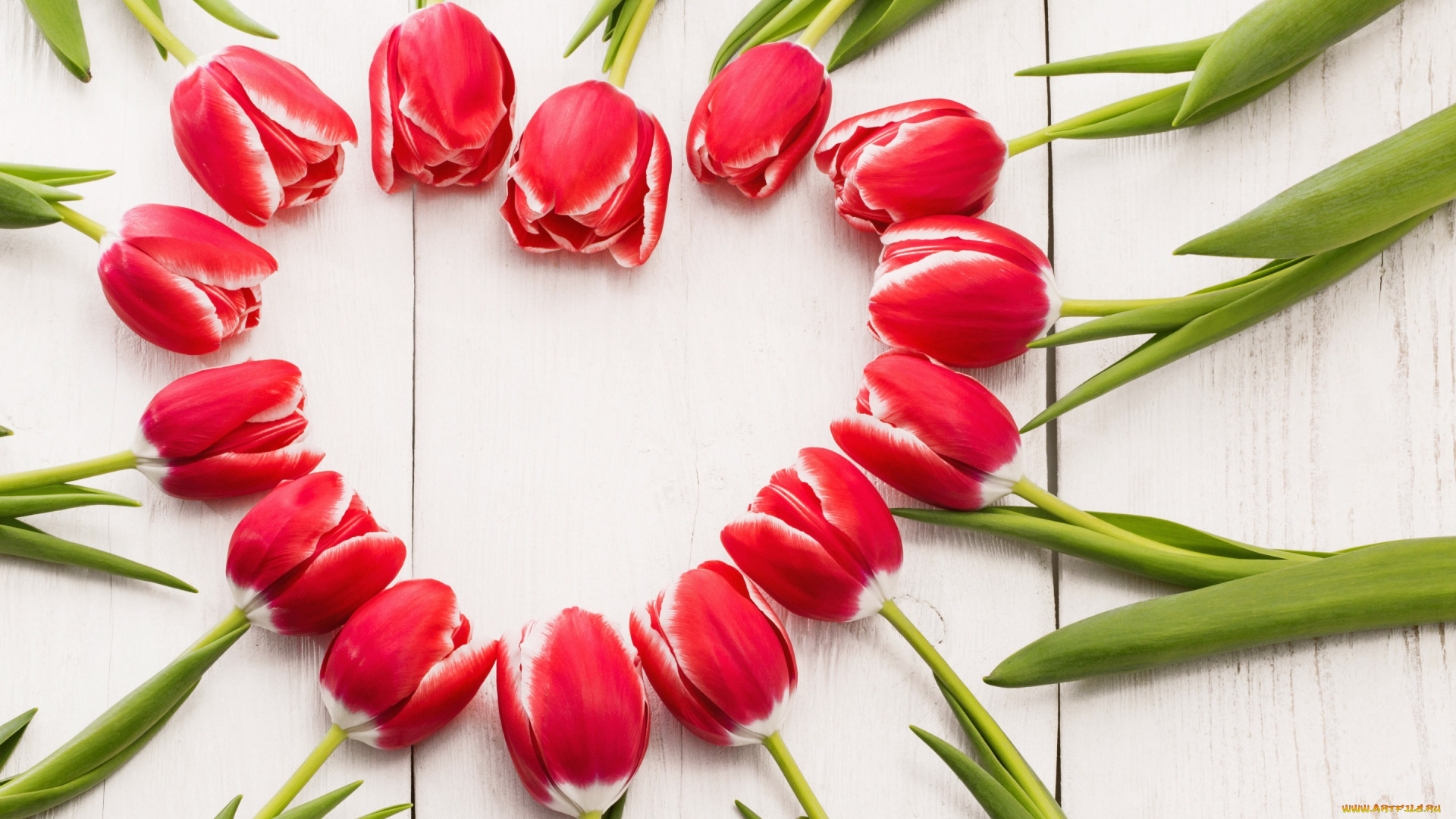 цветы, тюльпаны, tulips, сердце, spring, red, romantic, красные, wood, love, heart