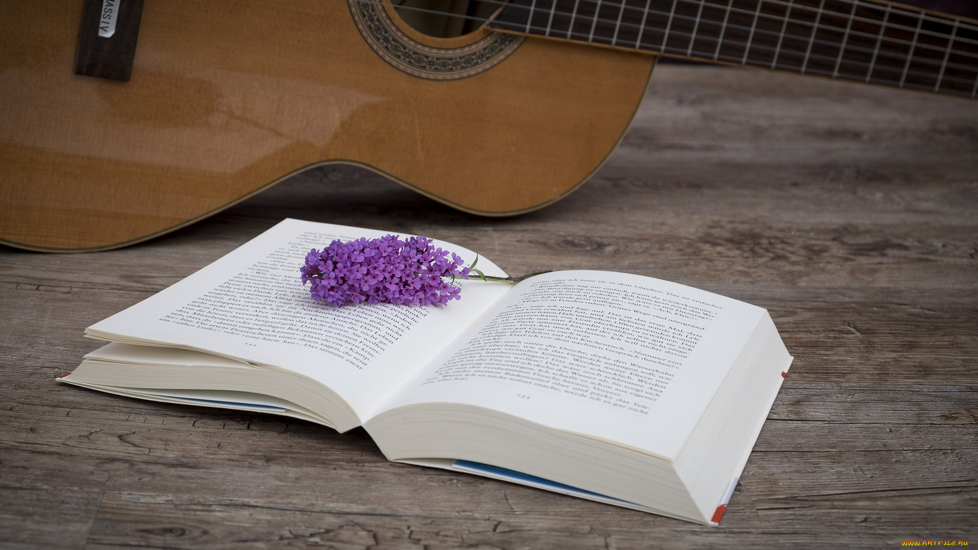 музыка, -музыкальные, инструменты, гитара, книга, сирень