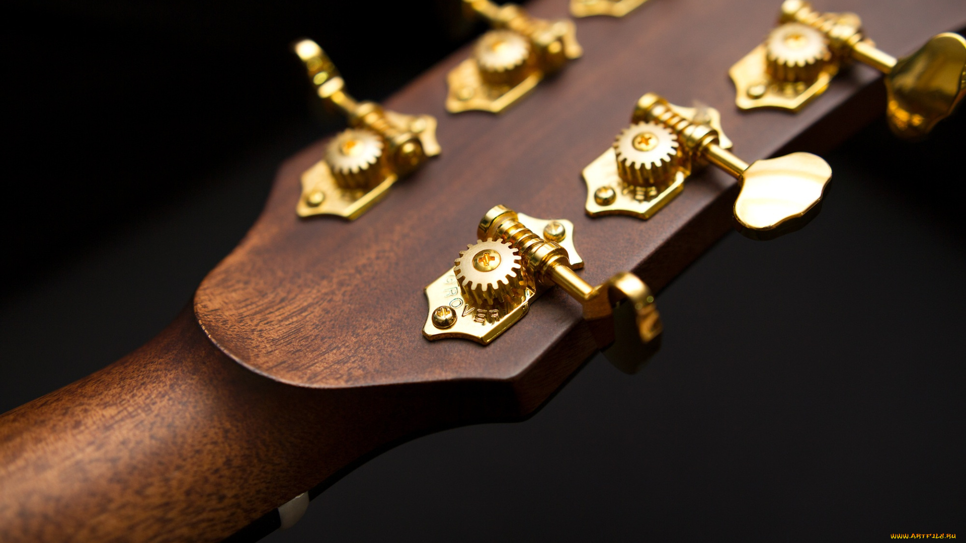 музыка, -музыкальные, инструменты, корпус