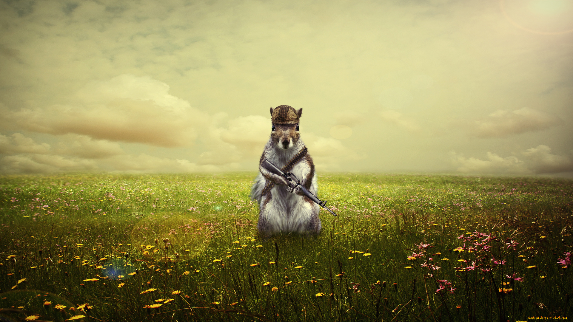 разное, компьютерный, дизайн, автомат, поле, фон, мышь